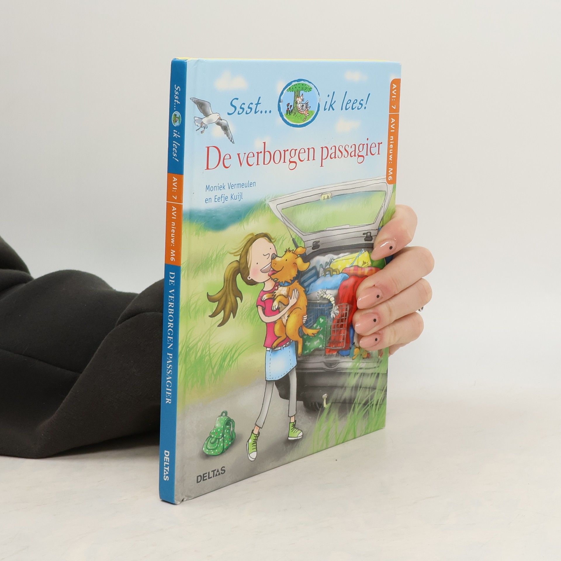 De verborgen passagier