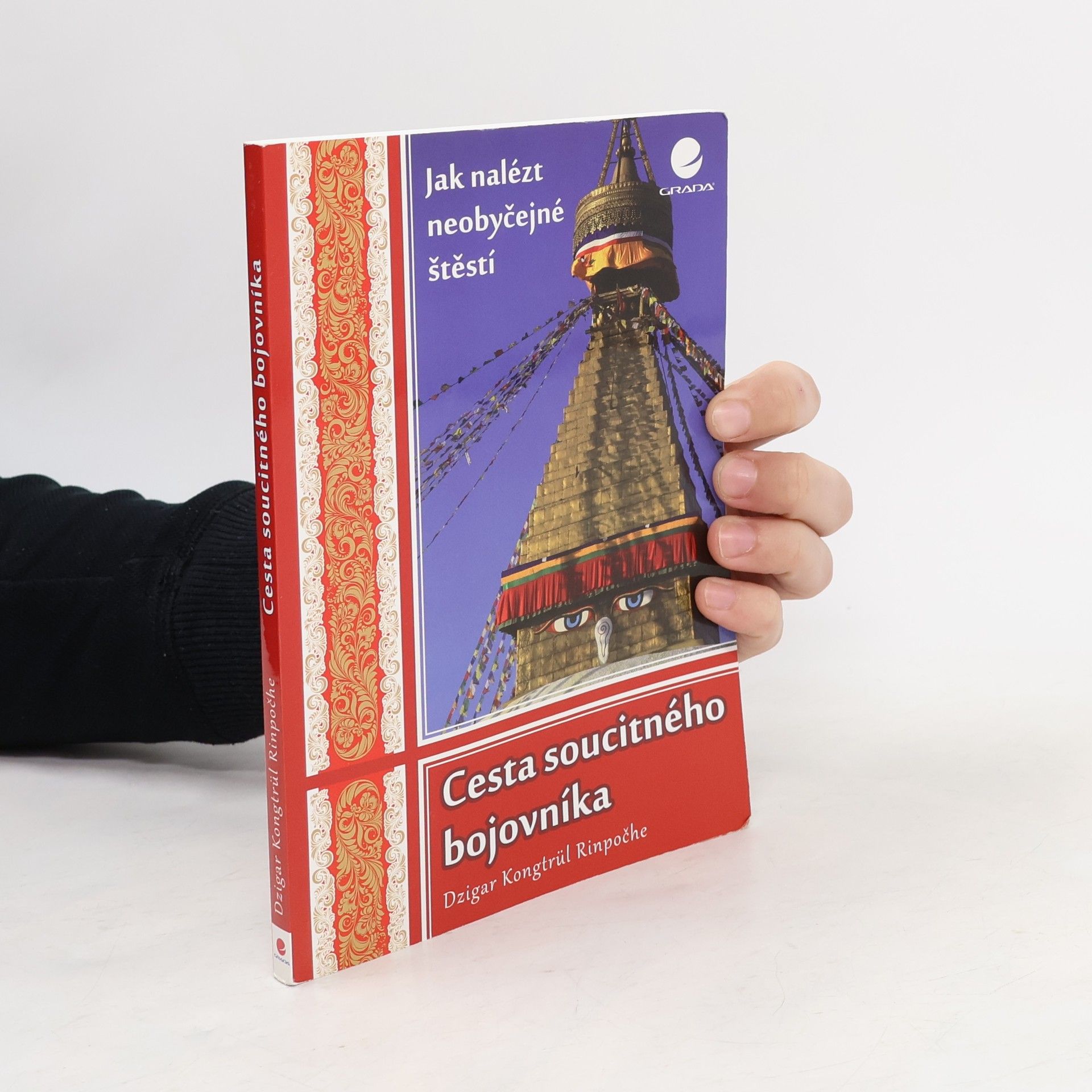 Dzigar Kongtrül Rinpoche Cesta soucitného bojovníka. Jak nalézt neobyčejné štěstí