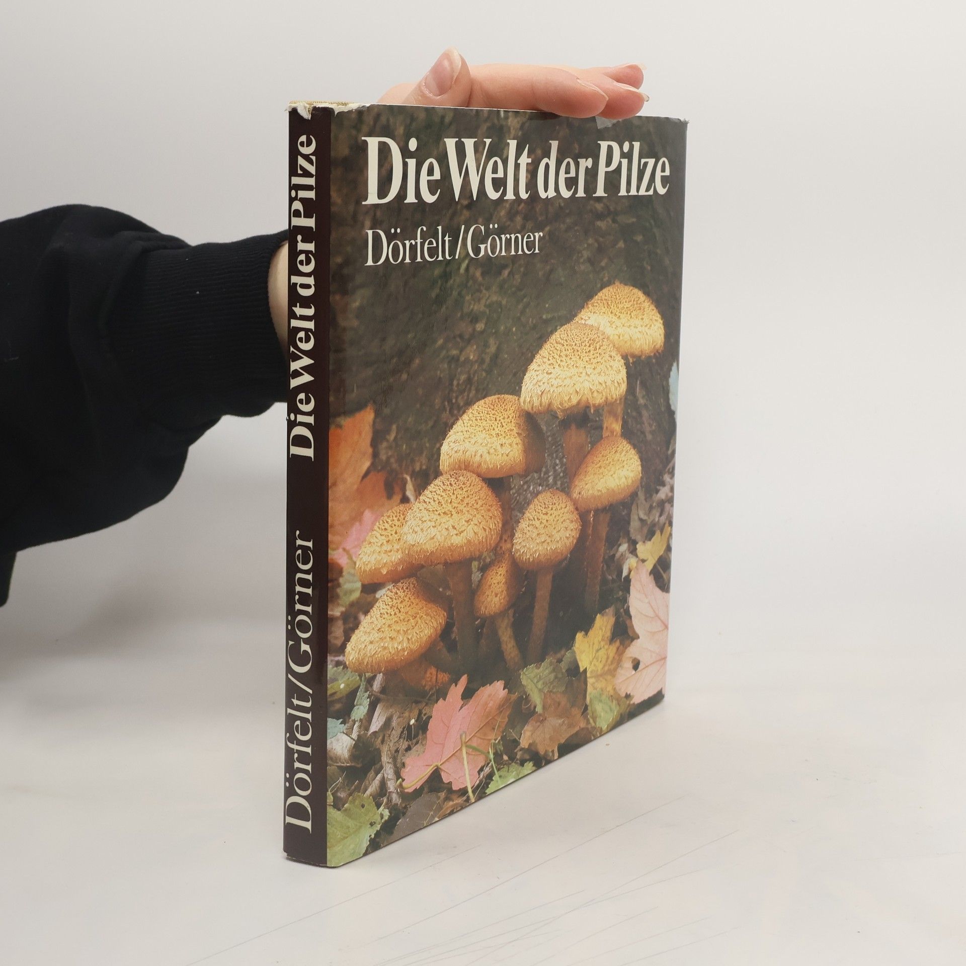 Heinrich Dörfelt Die Welt der Pilze