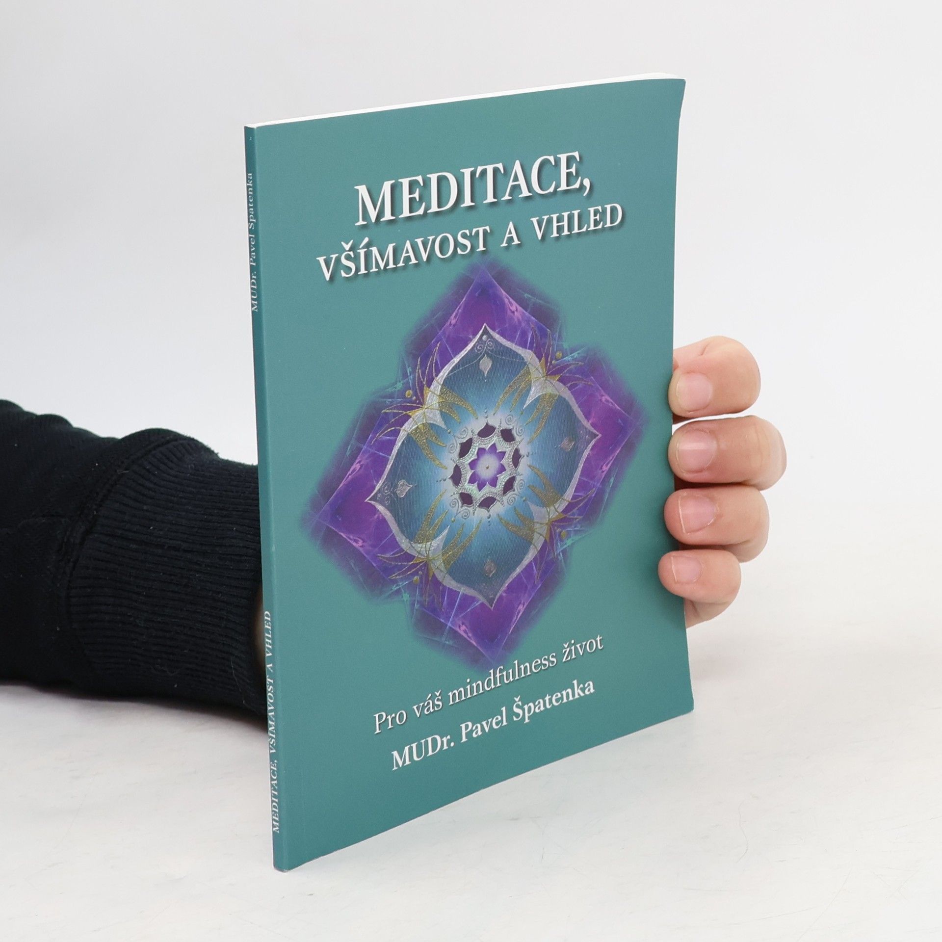 Pavel Špatenka Meditace, všímavost a vhled