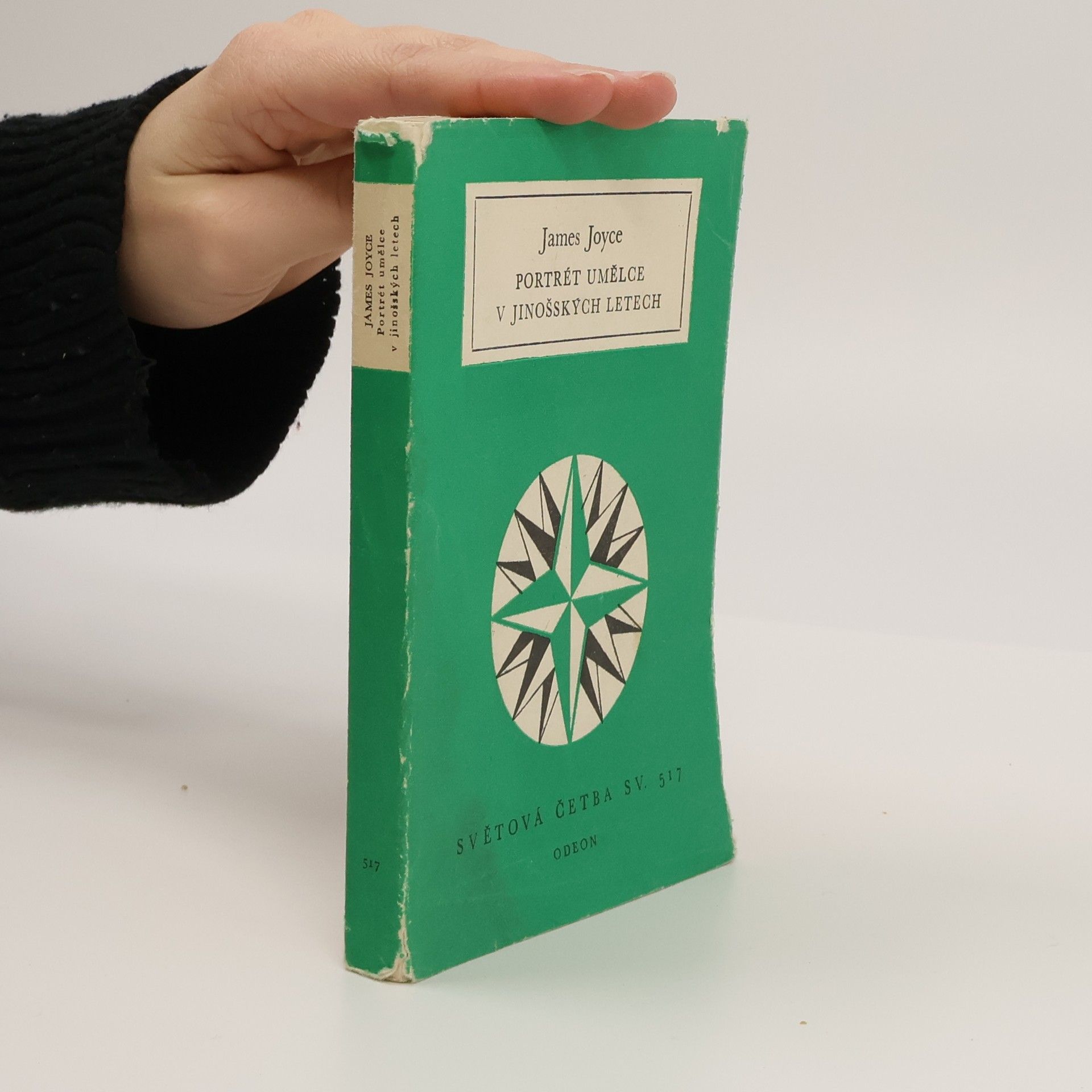 James Joyce Portrét umělce v jinošských letech