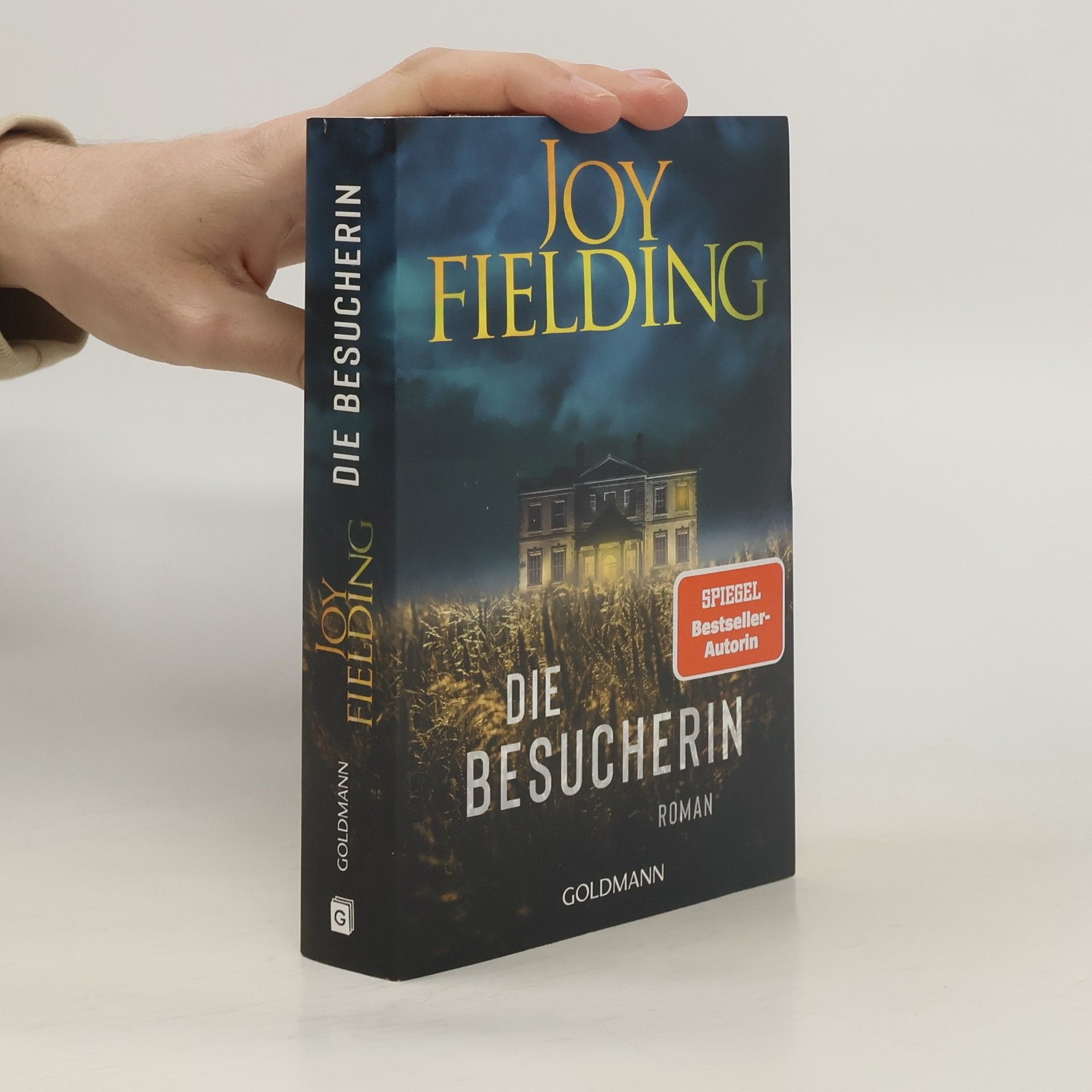 Joy Fielding Die Besucherin