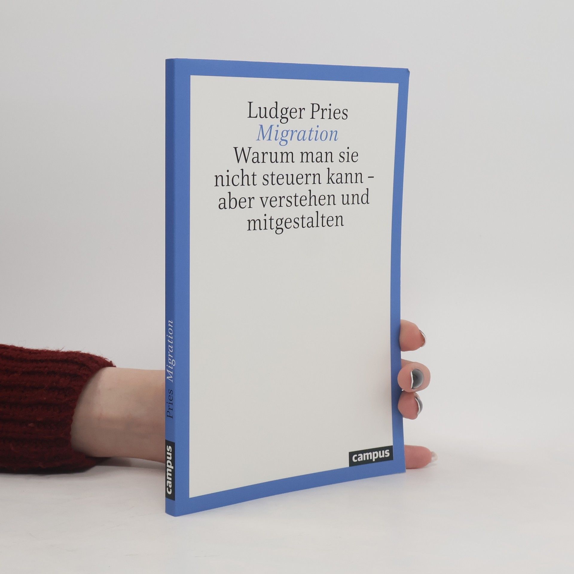 Ludger Pries Migration