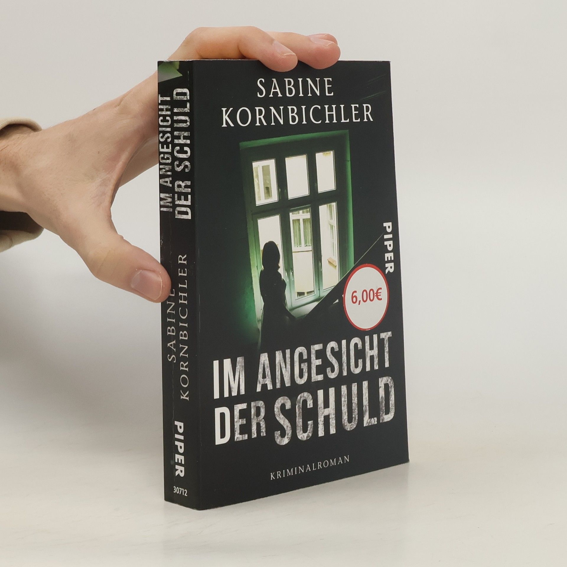 Sabine Kornbichler Im Angesicht der Schuld