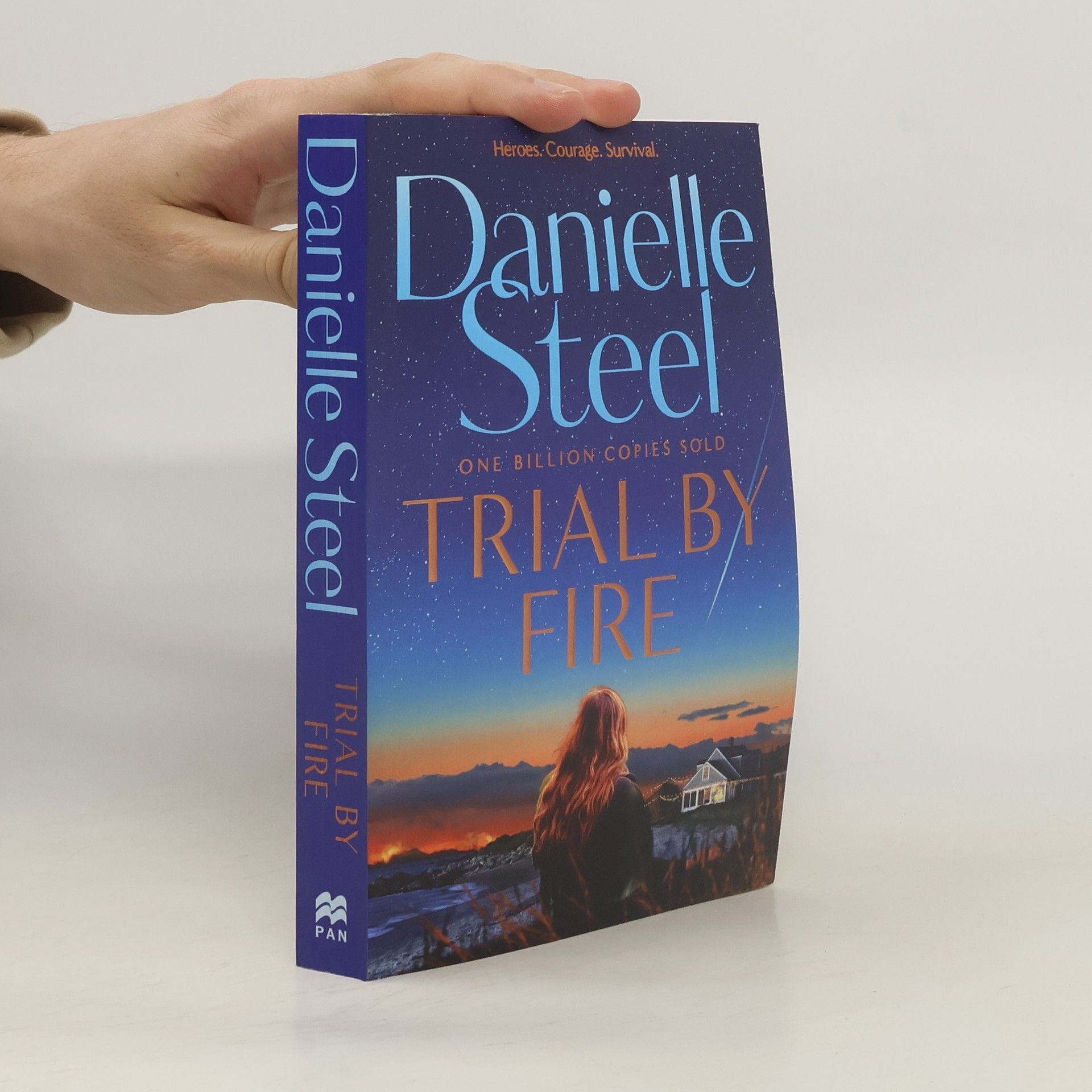 Danielle Steel Trial by Fire