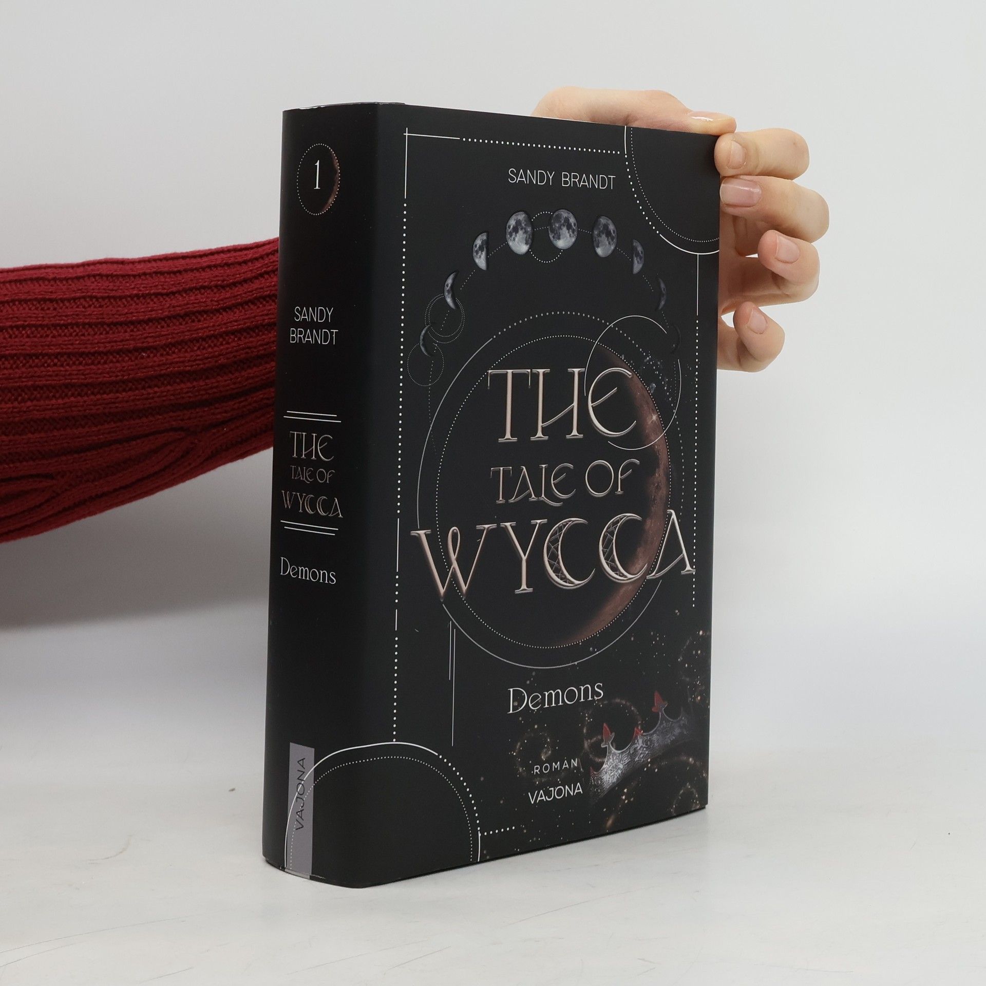 Sandy Brandt THE TALE OF WYCCA: Demons (WYCCA-Reihe 1)
