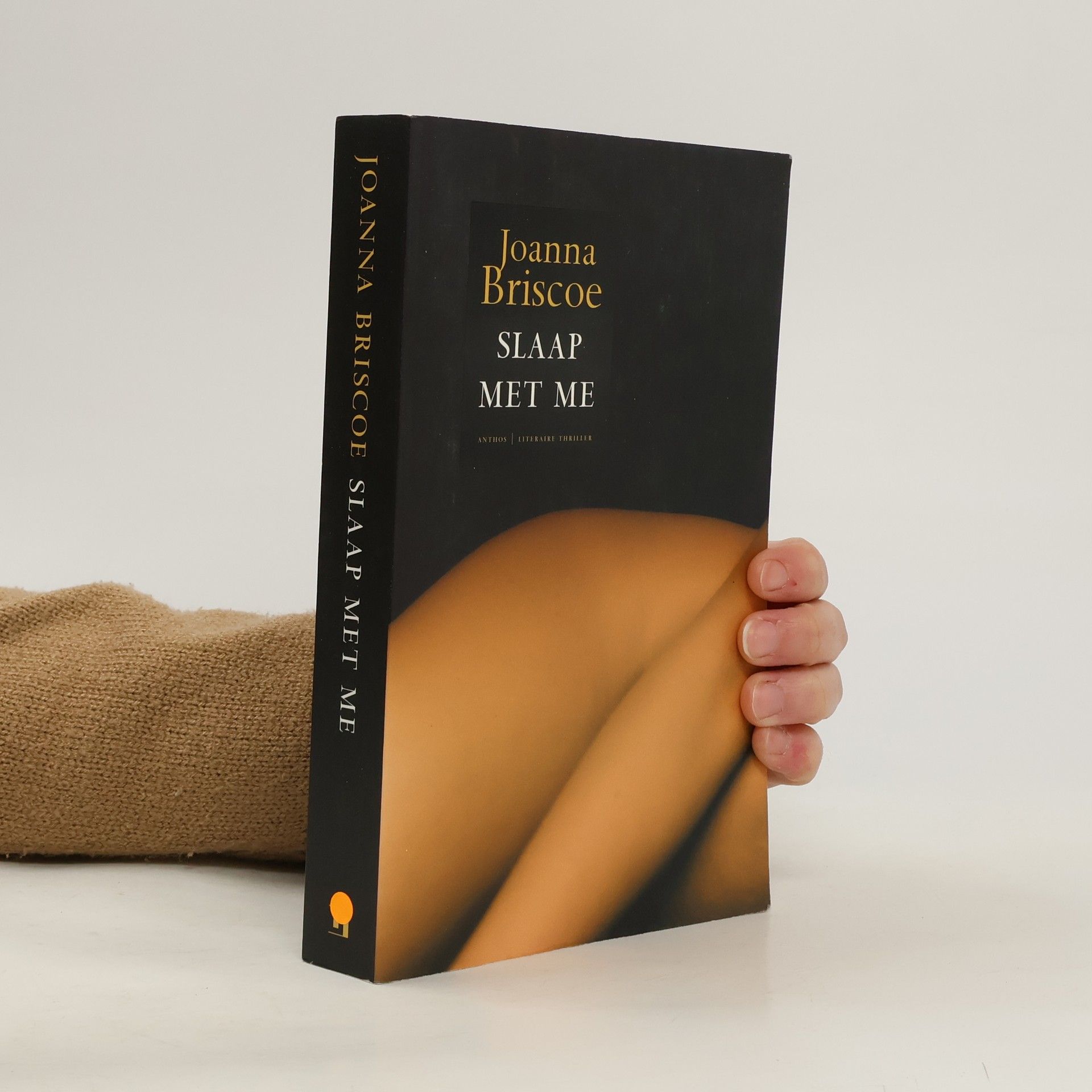 Joanna Briscoe Slaap met me