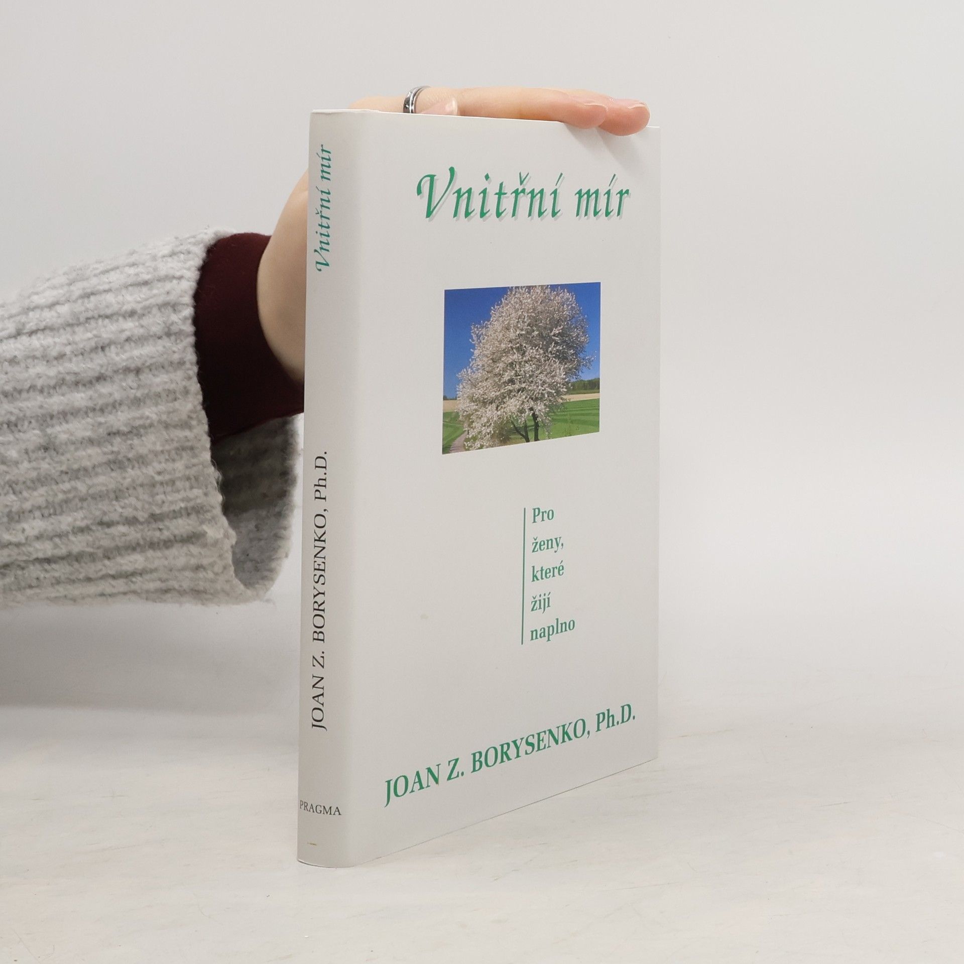 Joan Borysenko Vnitřní mír