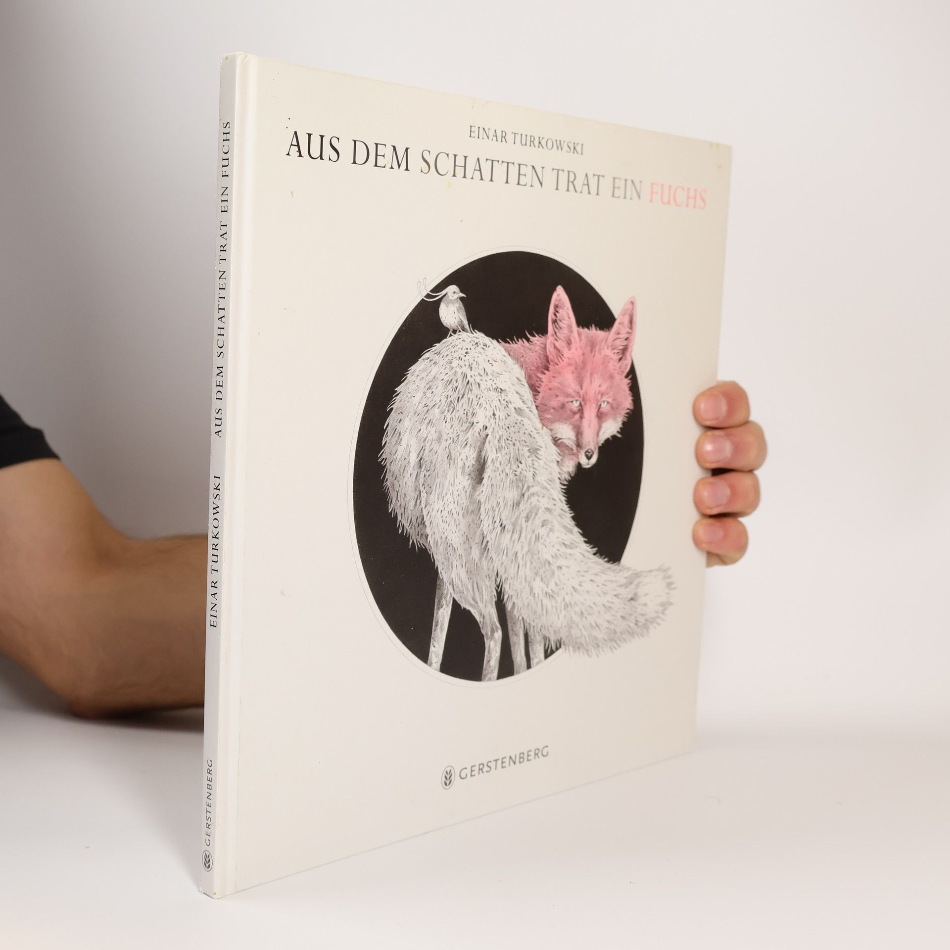 Einar Turkowski Aus dem Schatten trat ein Fuchs