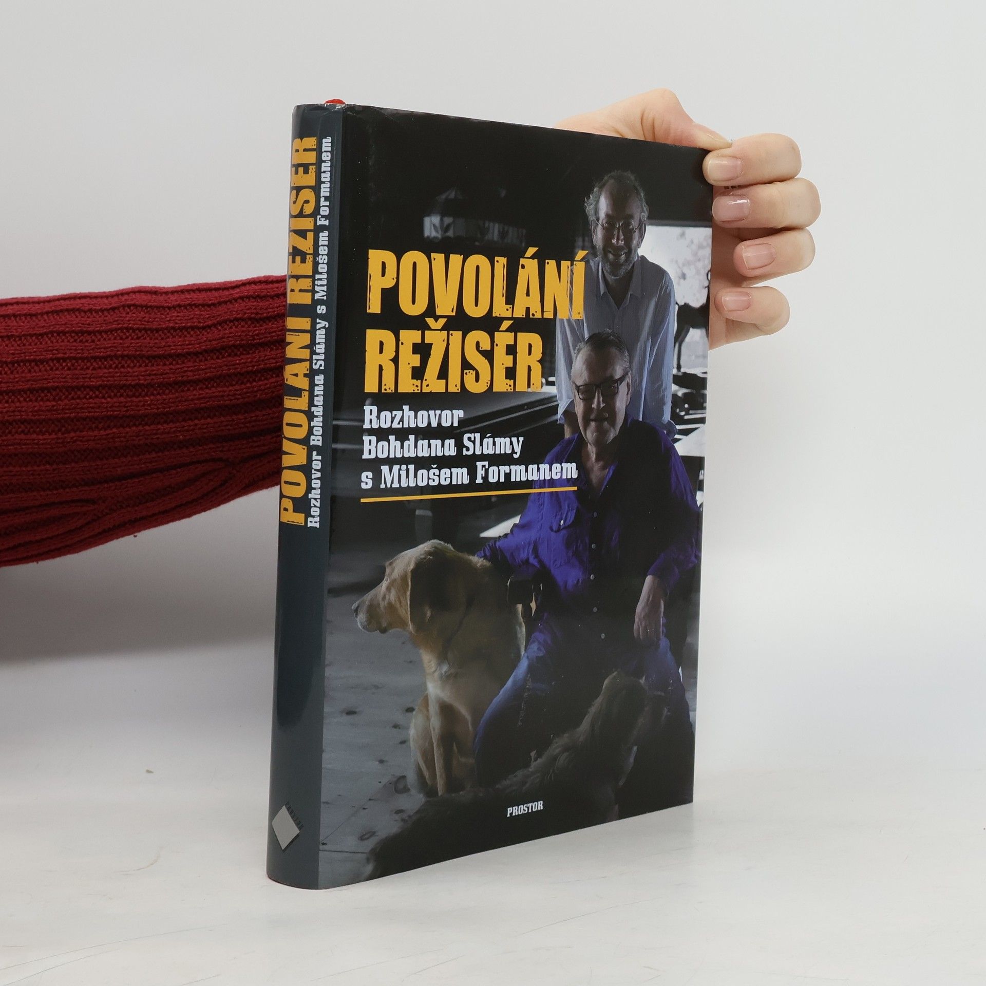 Povolání režisér