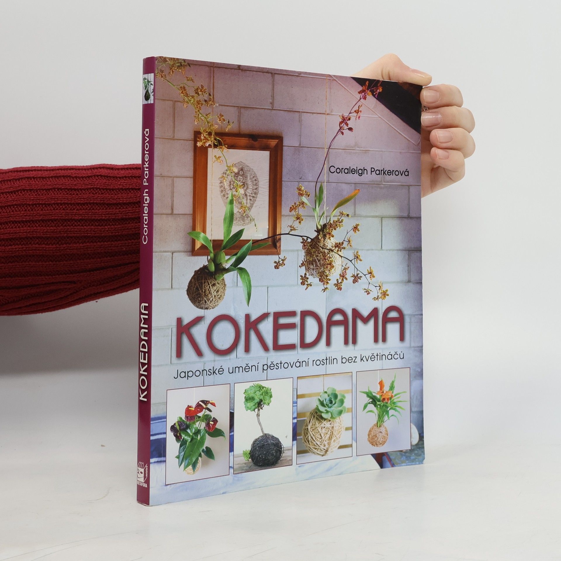 Coraleigh Parker Kokedama - Japonské umění pěstování rostlin bez květináčů