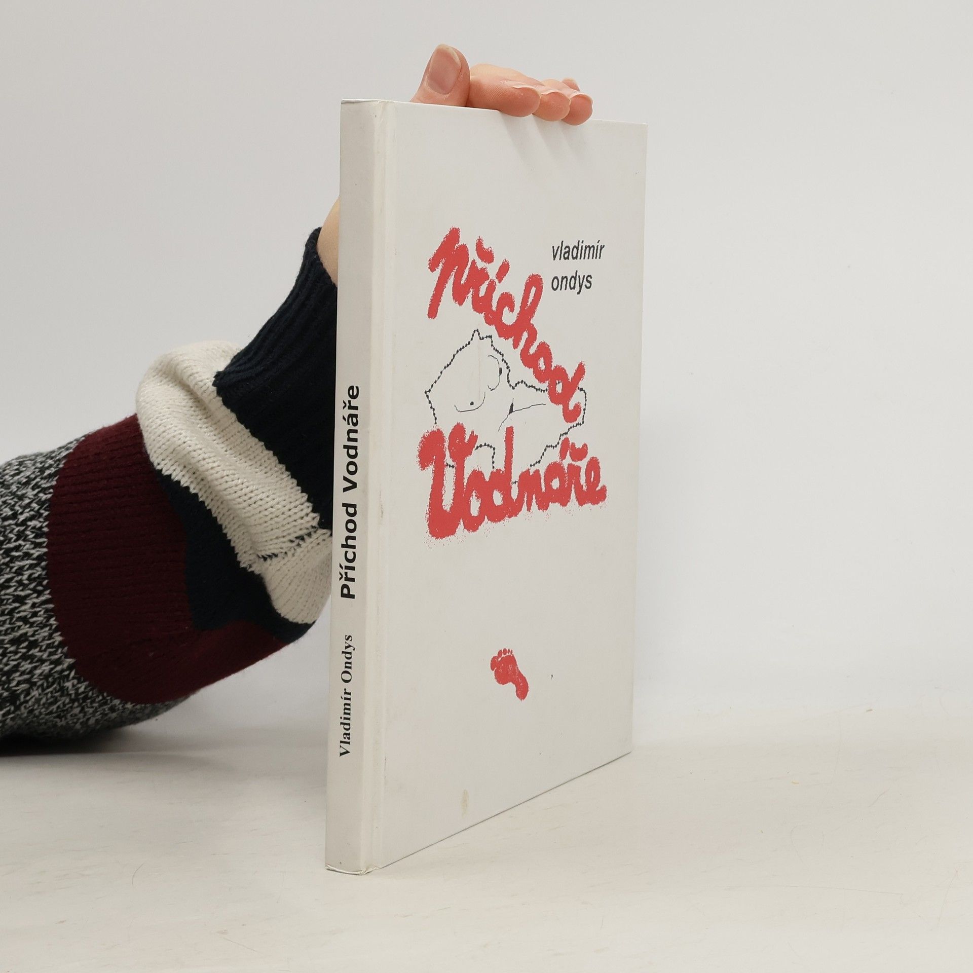 Vladimír Ondys Příchod Vodnáře