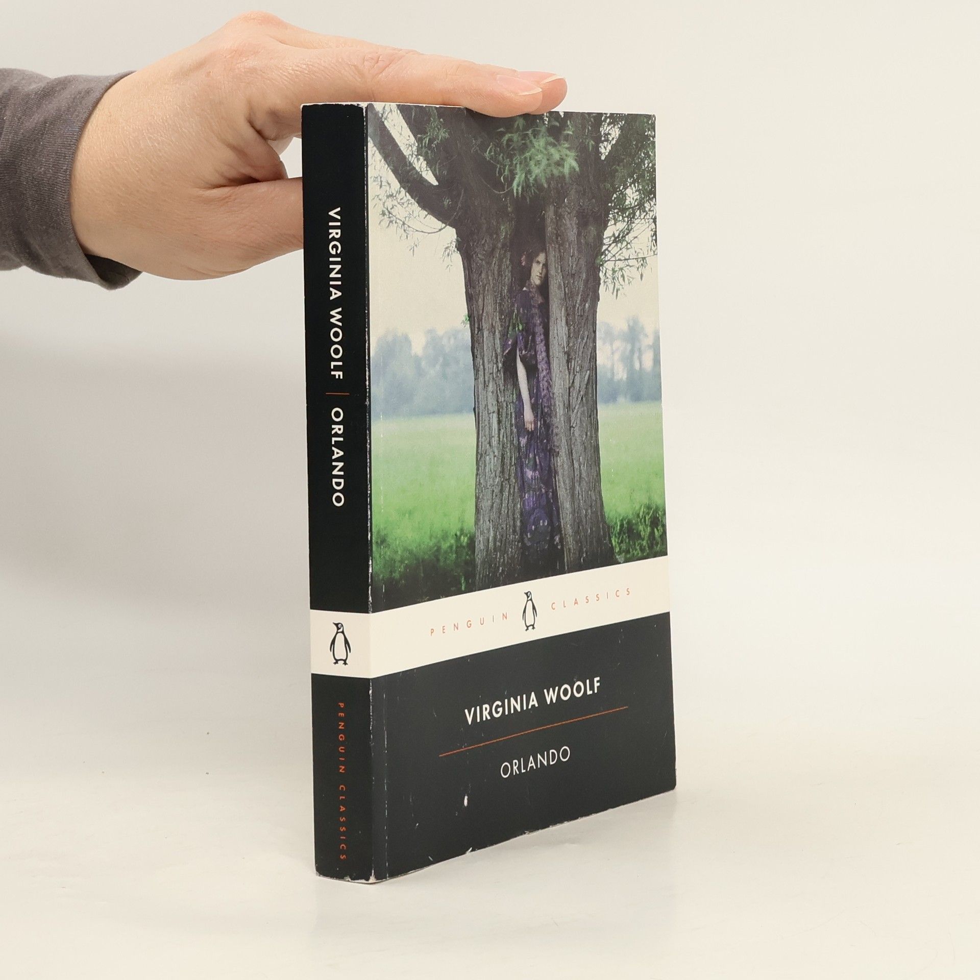 Virginia Woolf Orlando