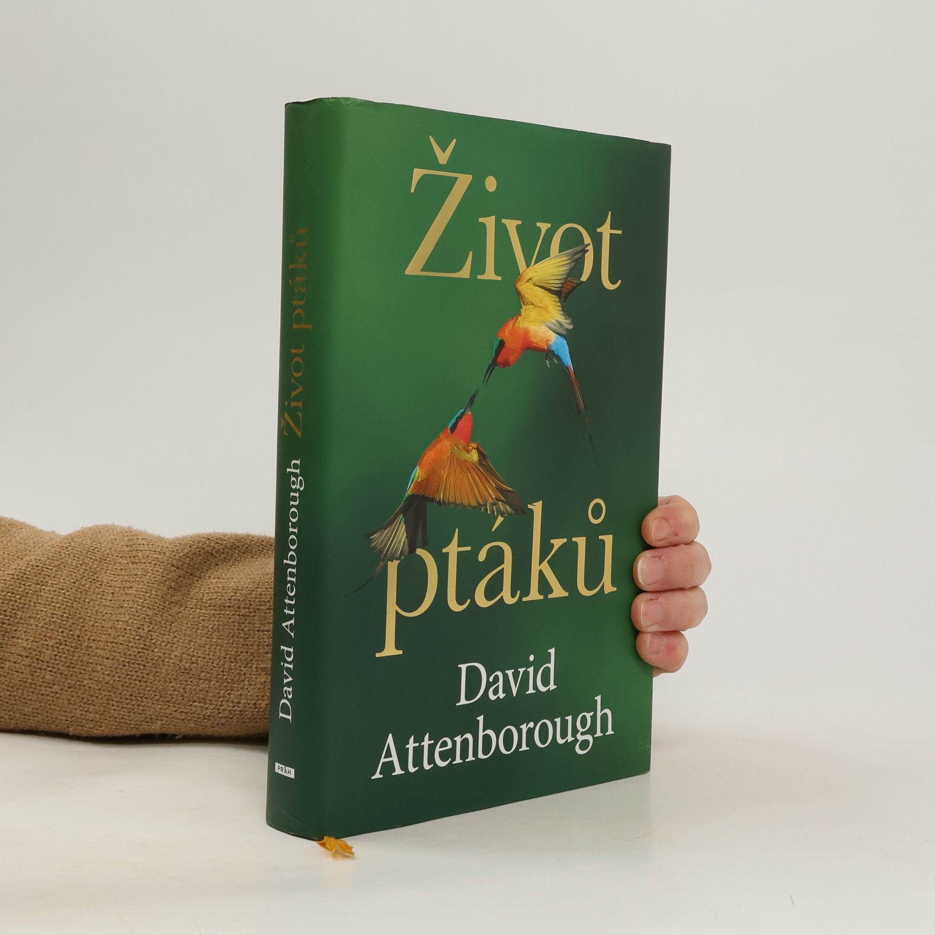 David Attenborough Život ptáků