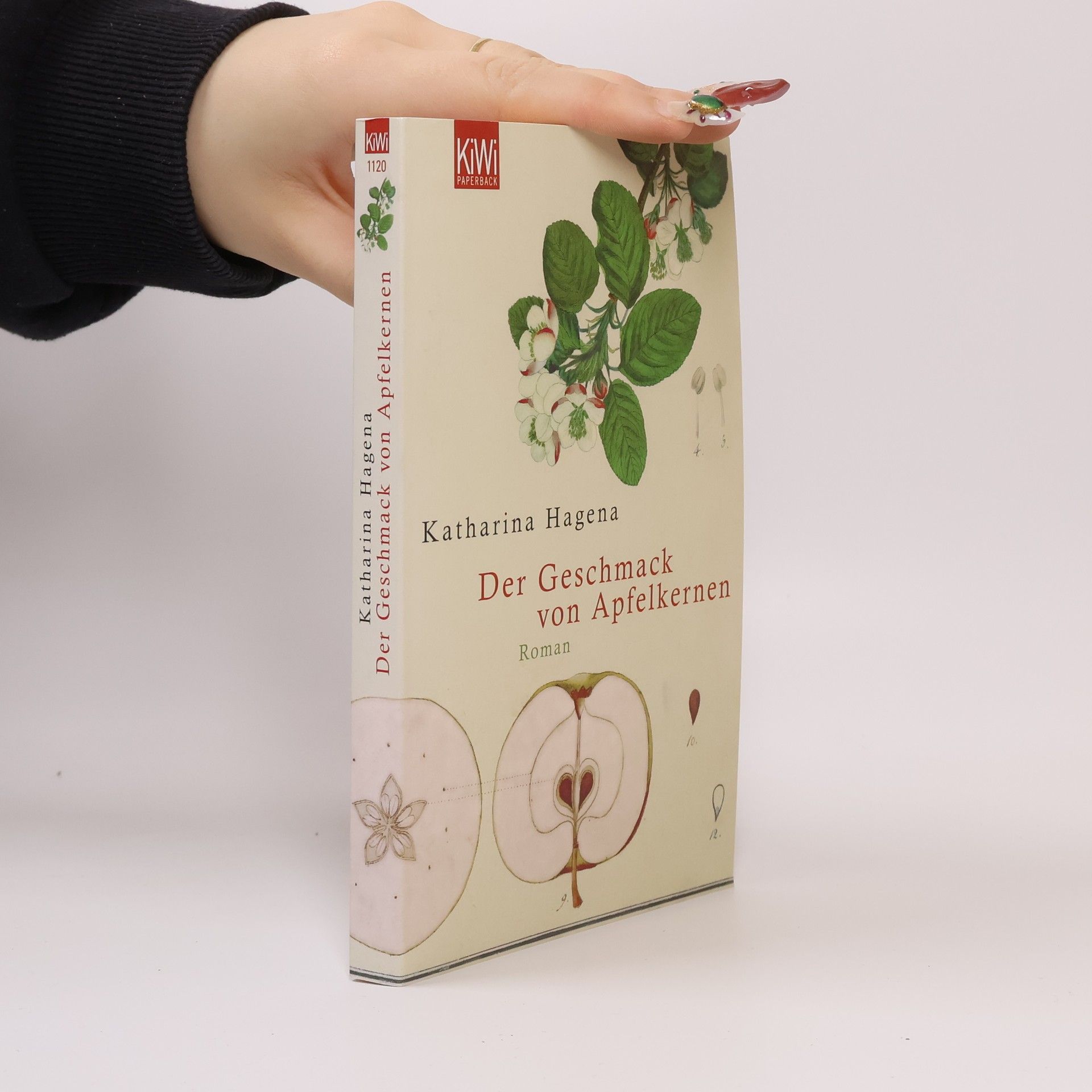 Katharina Hagena Der Geschmack von Apfelkernen