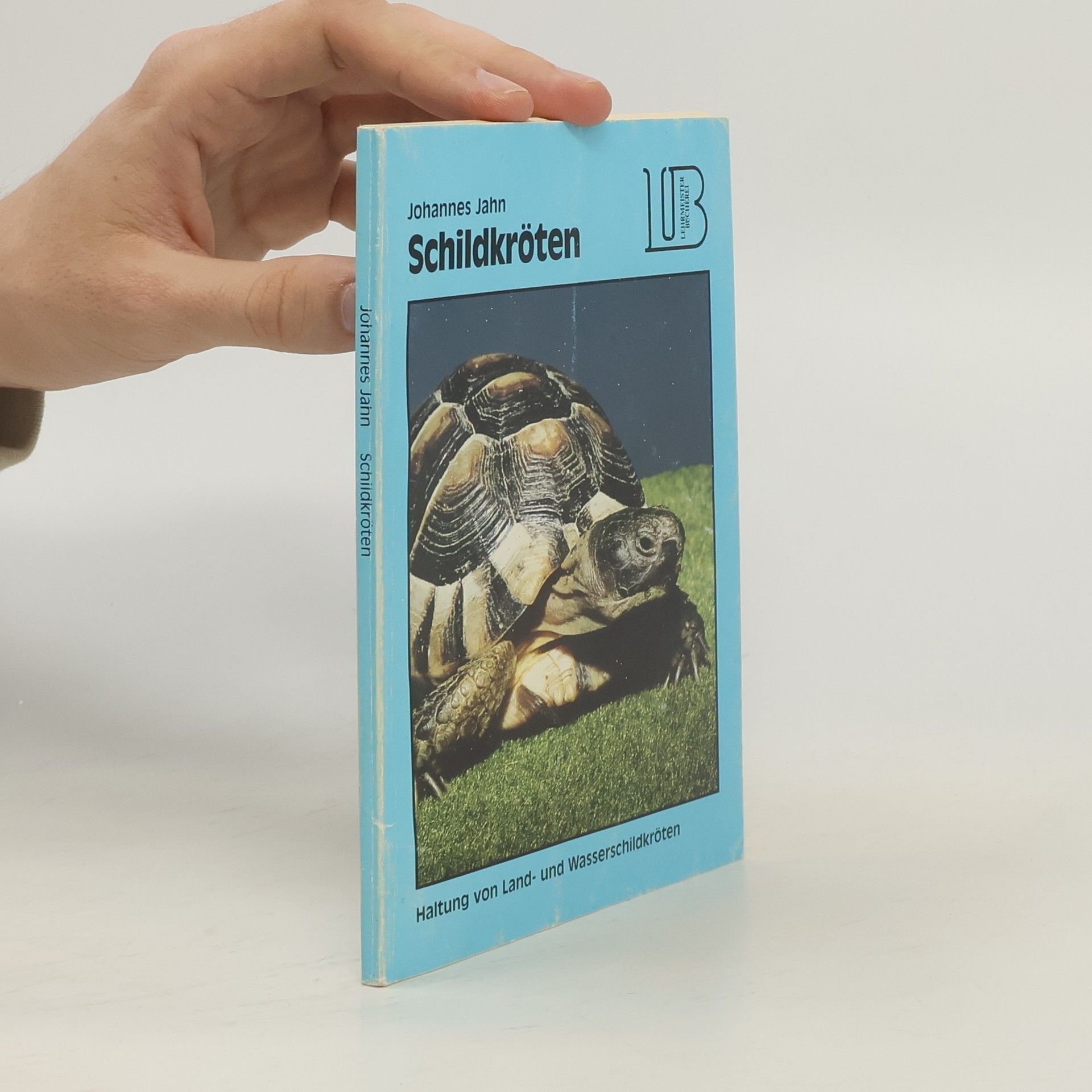 Schildkröten