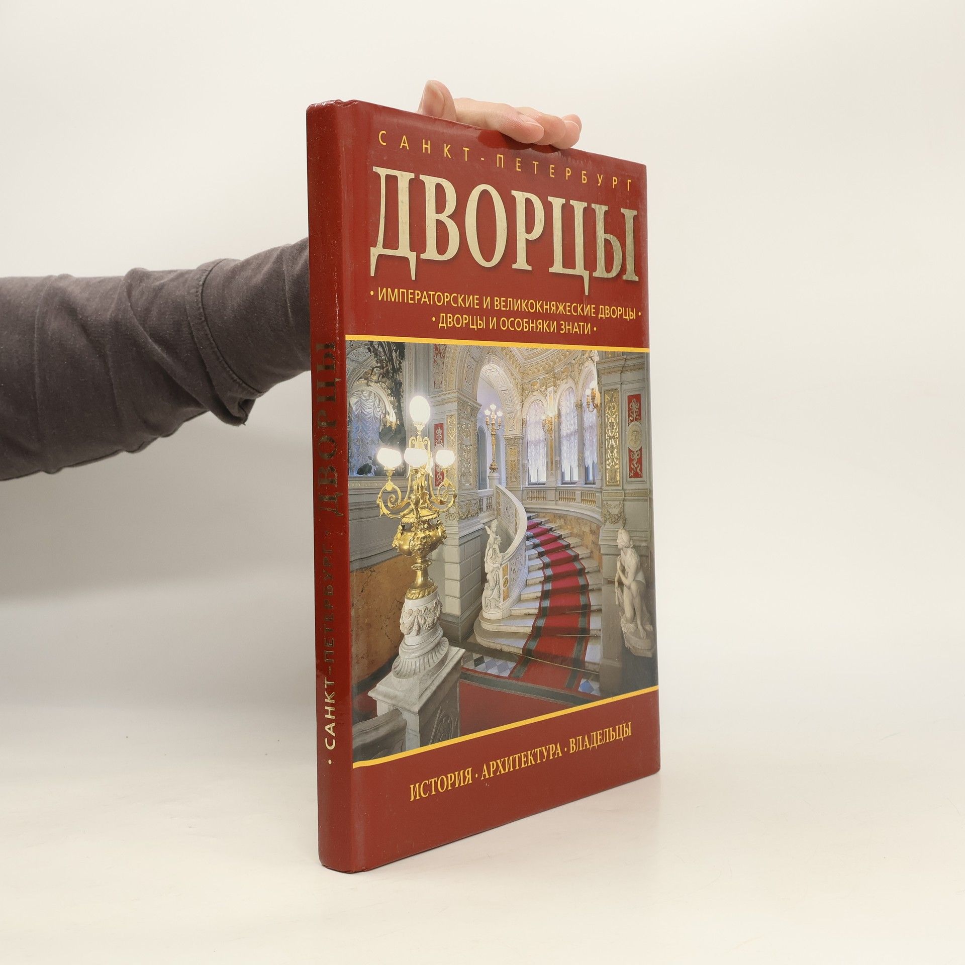 Kolektív autorov Дворцы Санкт-Петербурга