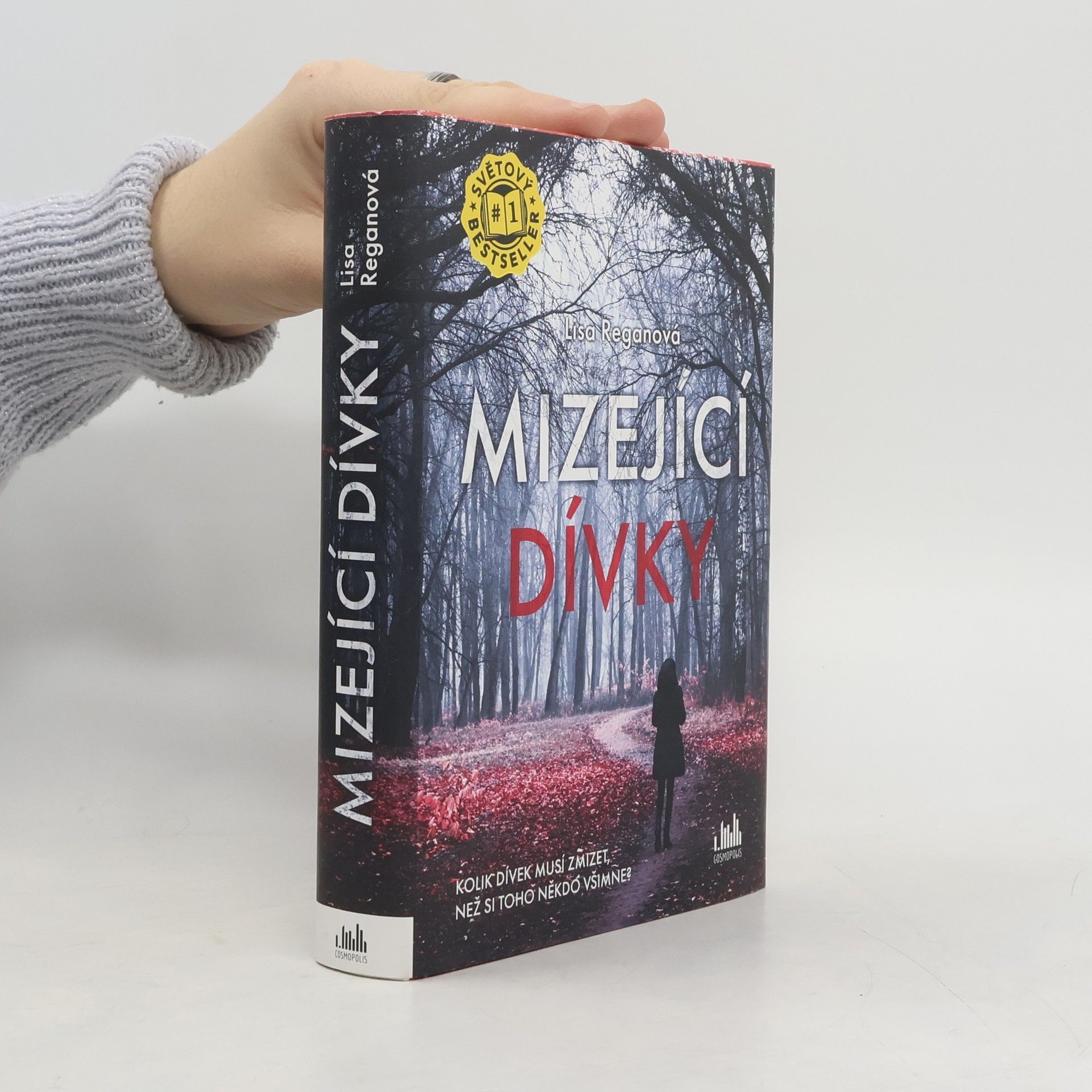 Lisa Regan Mizející dívky