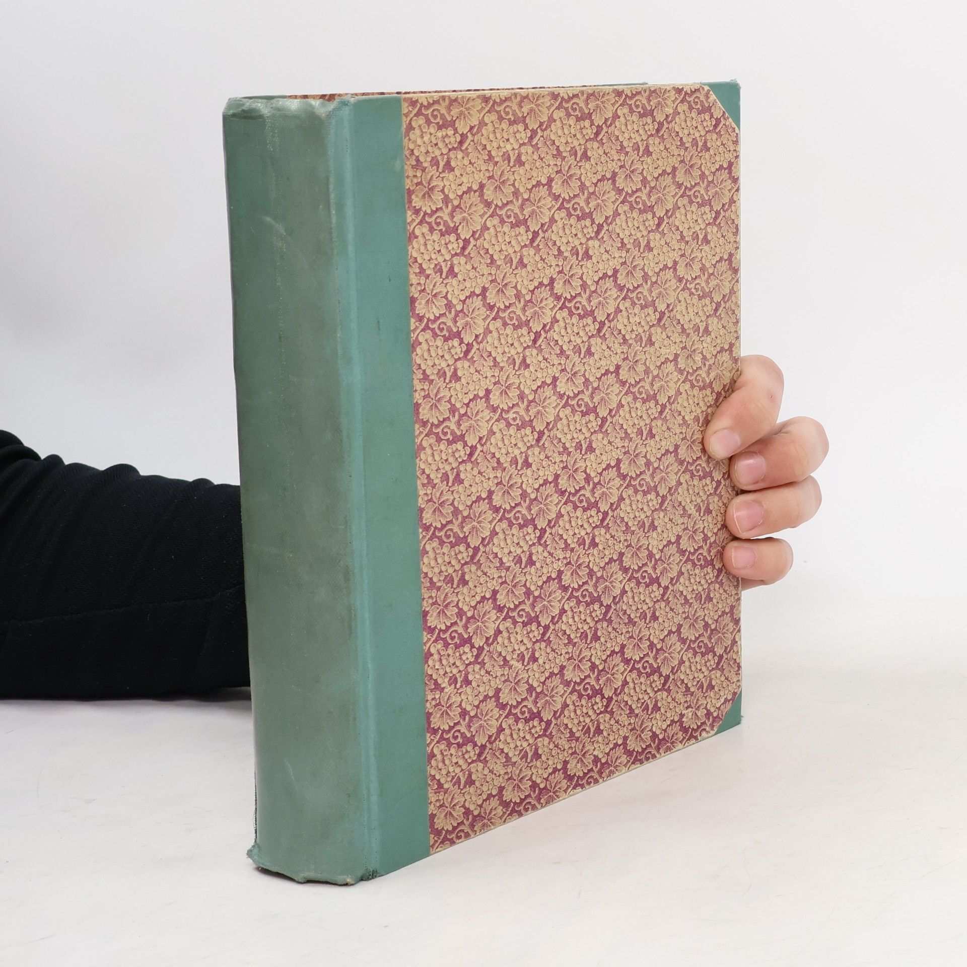 Walter Scott Talisman - román válek křižáckých