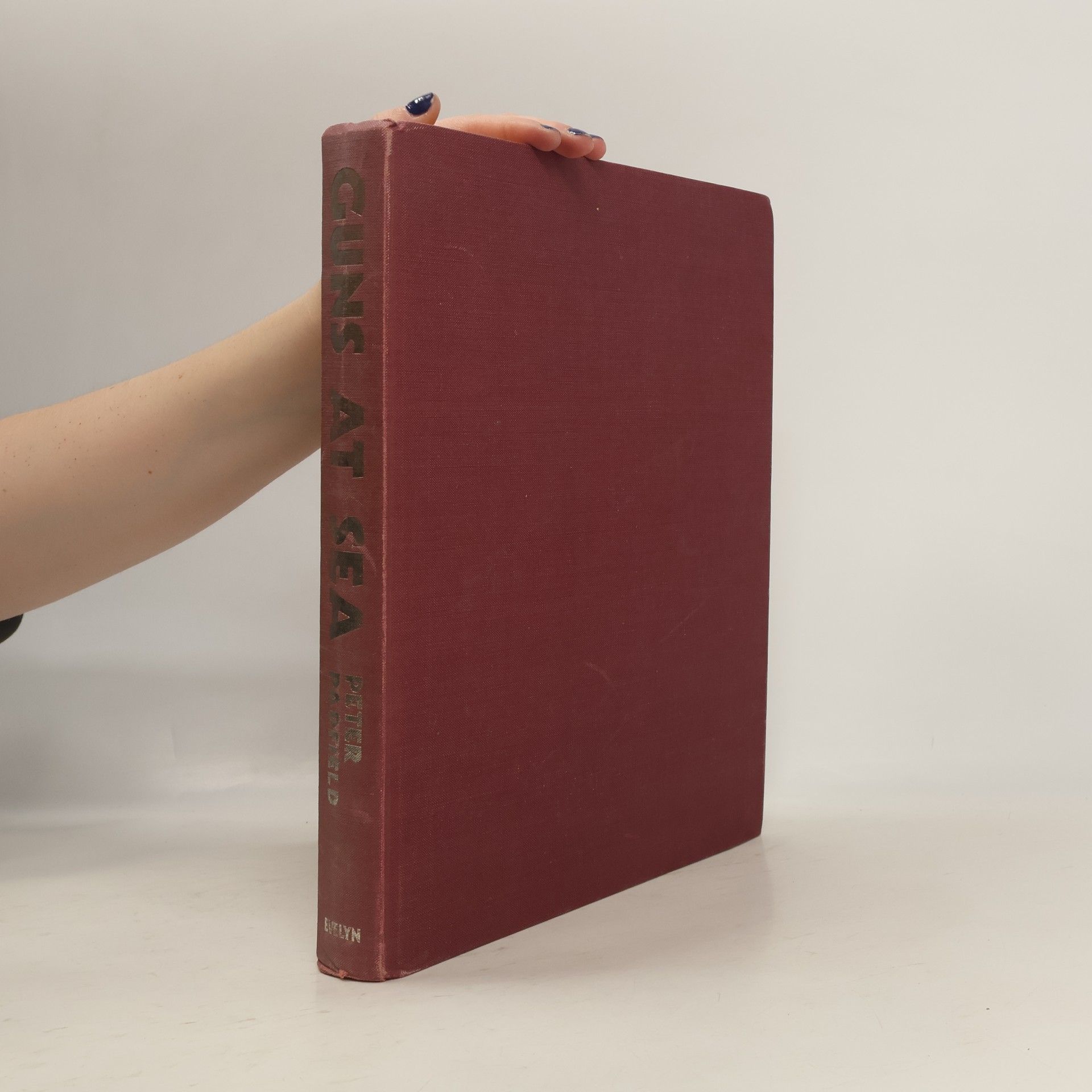 Peter Padfield Guns at Sea