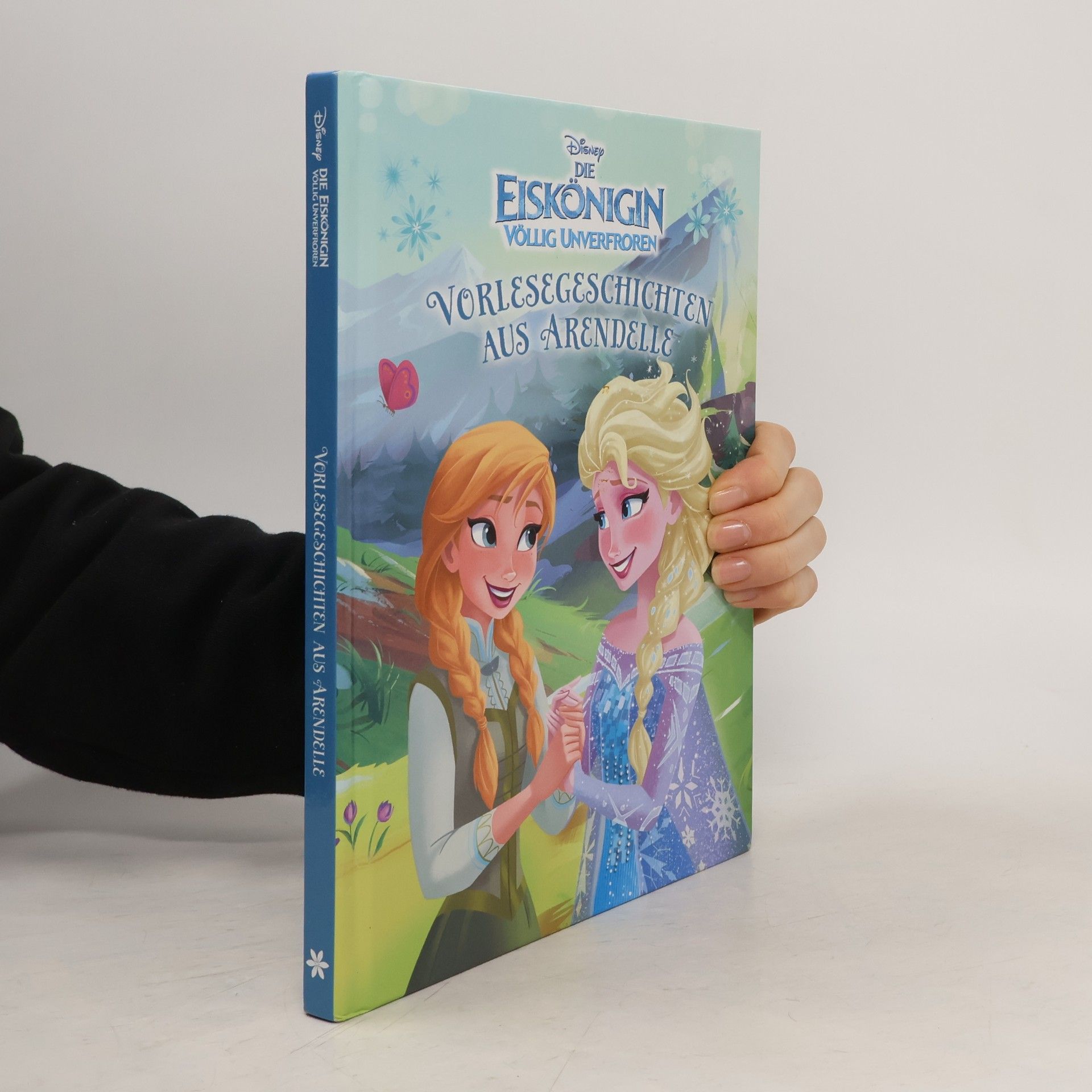 Autorenkollektiv Vorlesegeschichten aus Arendelle
