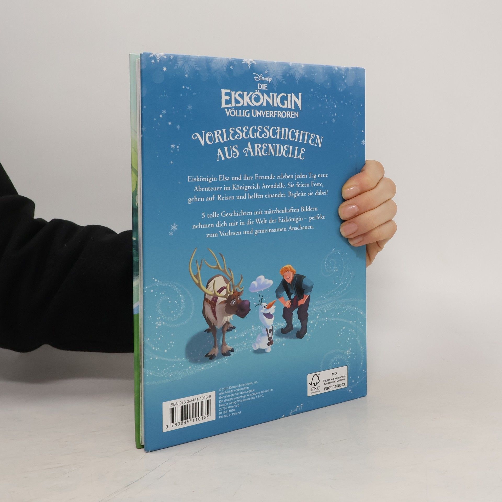 Autorenkollektiv Vorlesegeschichten aus Arendelle