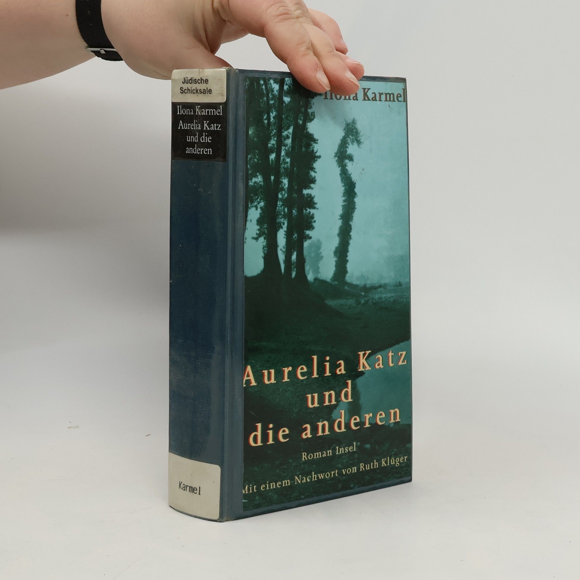 Ilona Karmel Aurelia Katz und die anderen