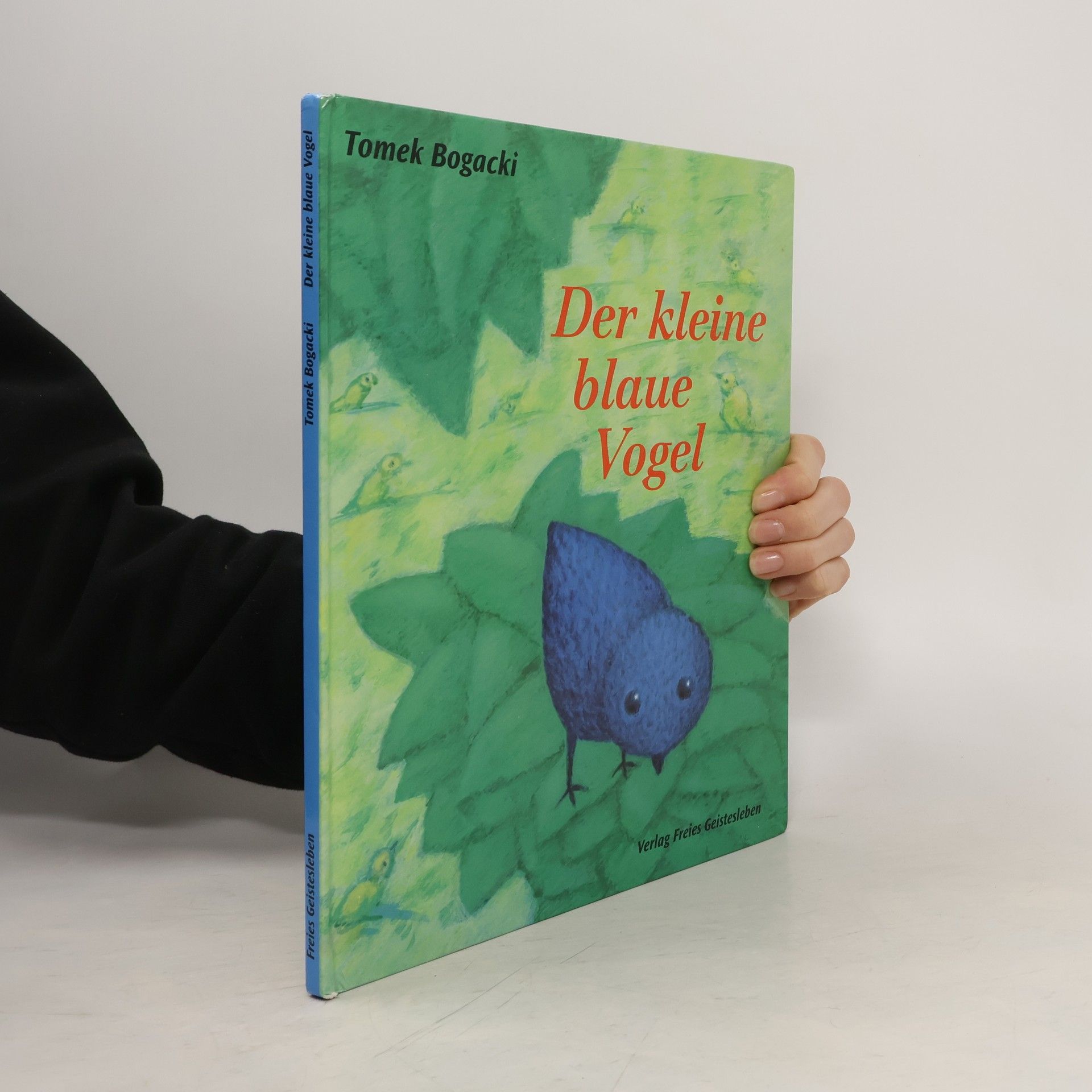 Tomek Bogacki Der kleine blaue Vogel