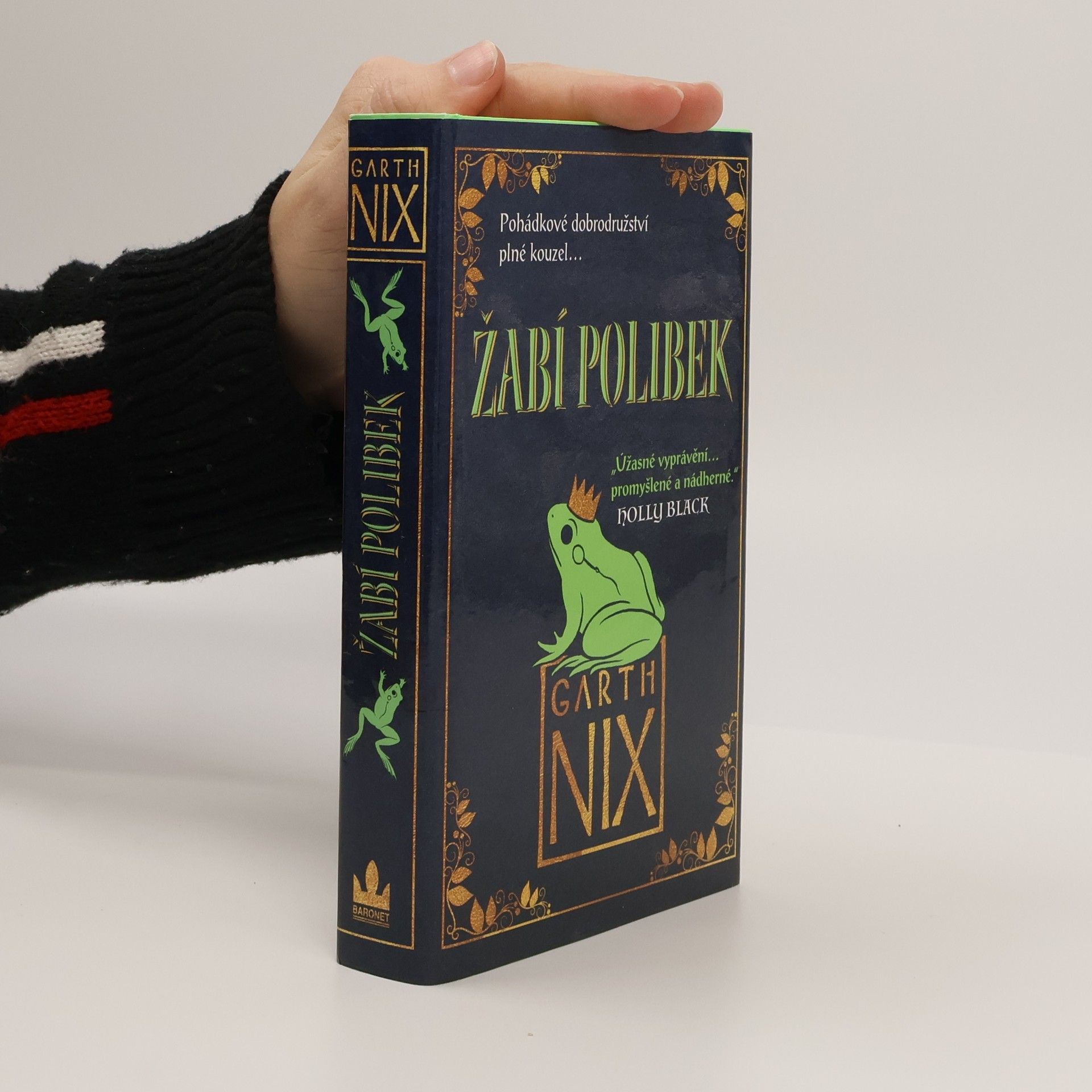 Garth Nix Žabí polibek