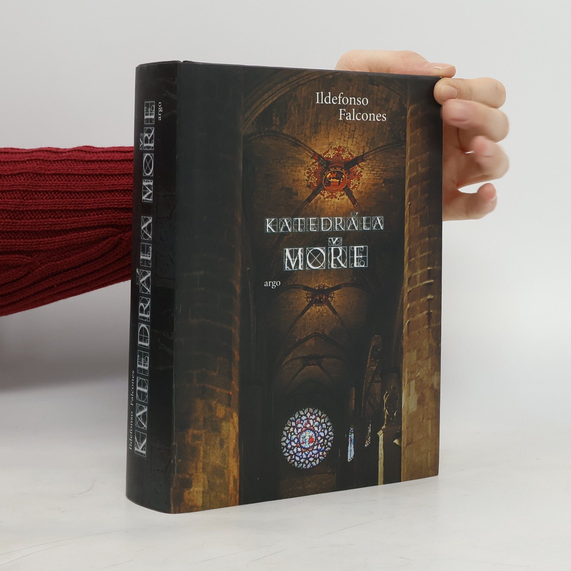 Ildefonso Falcones Katedrála moře