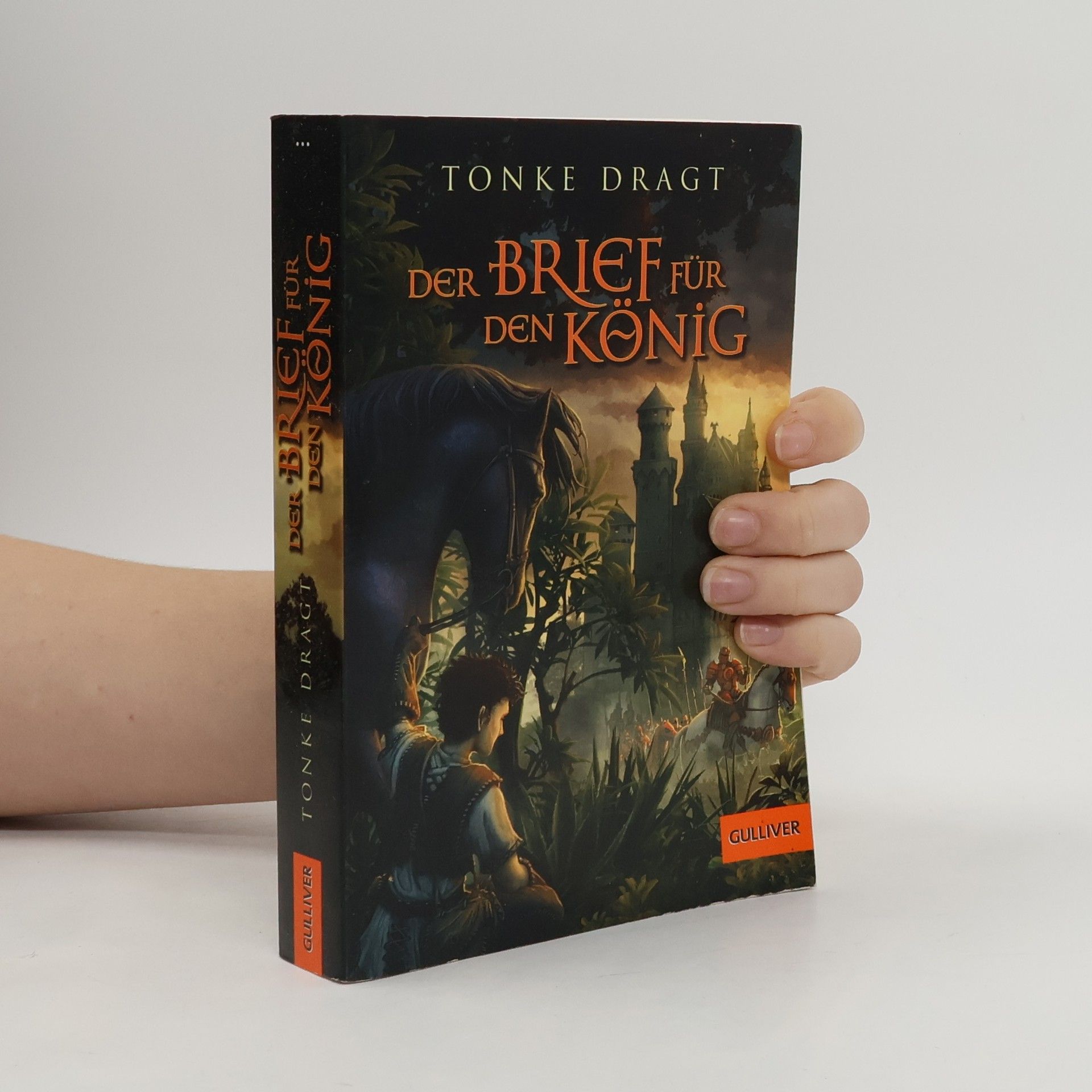 Tonke Dragt Der Brief für den König