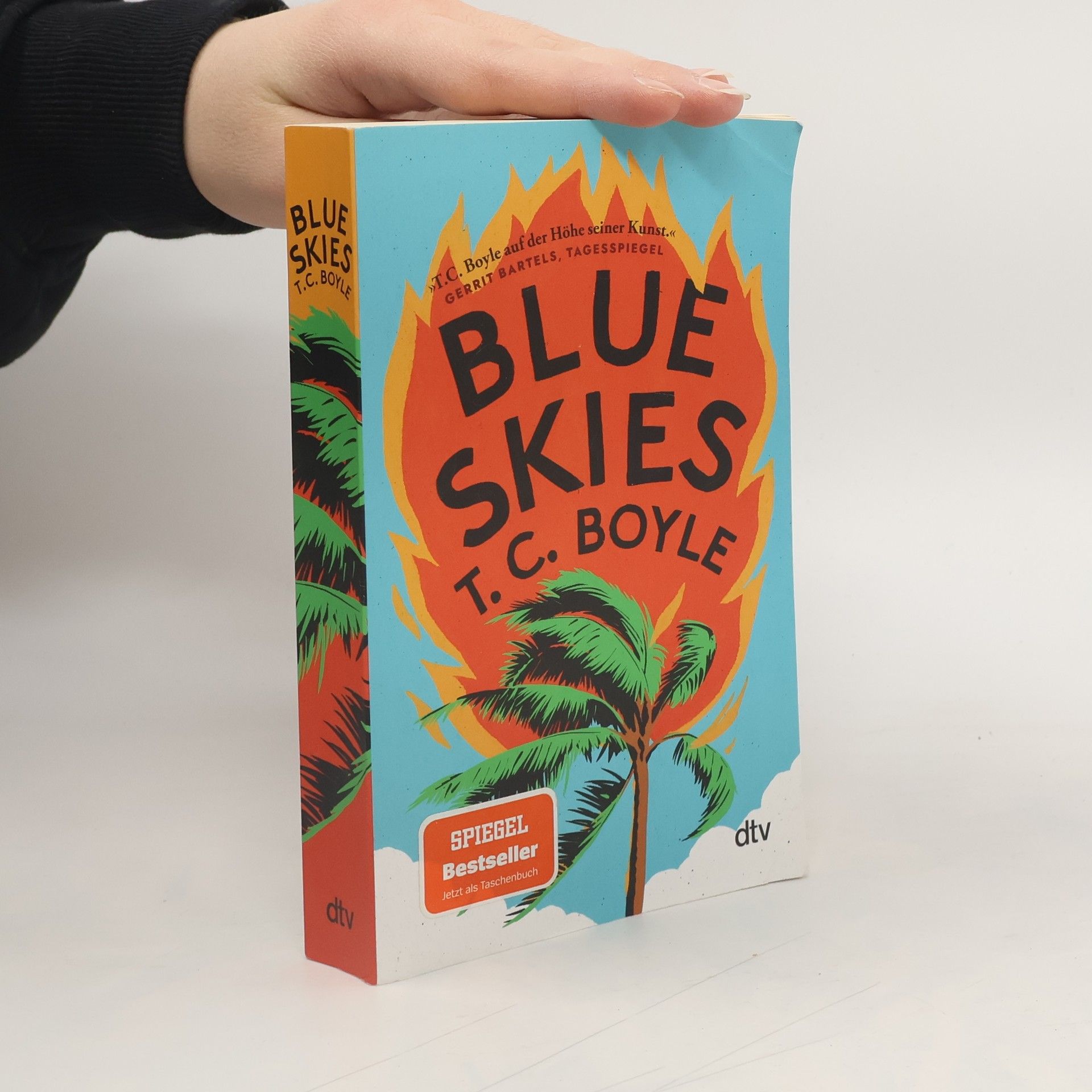 T. Coraghessan Boyle Blue Skies