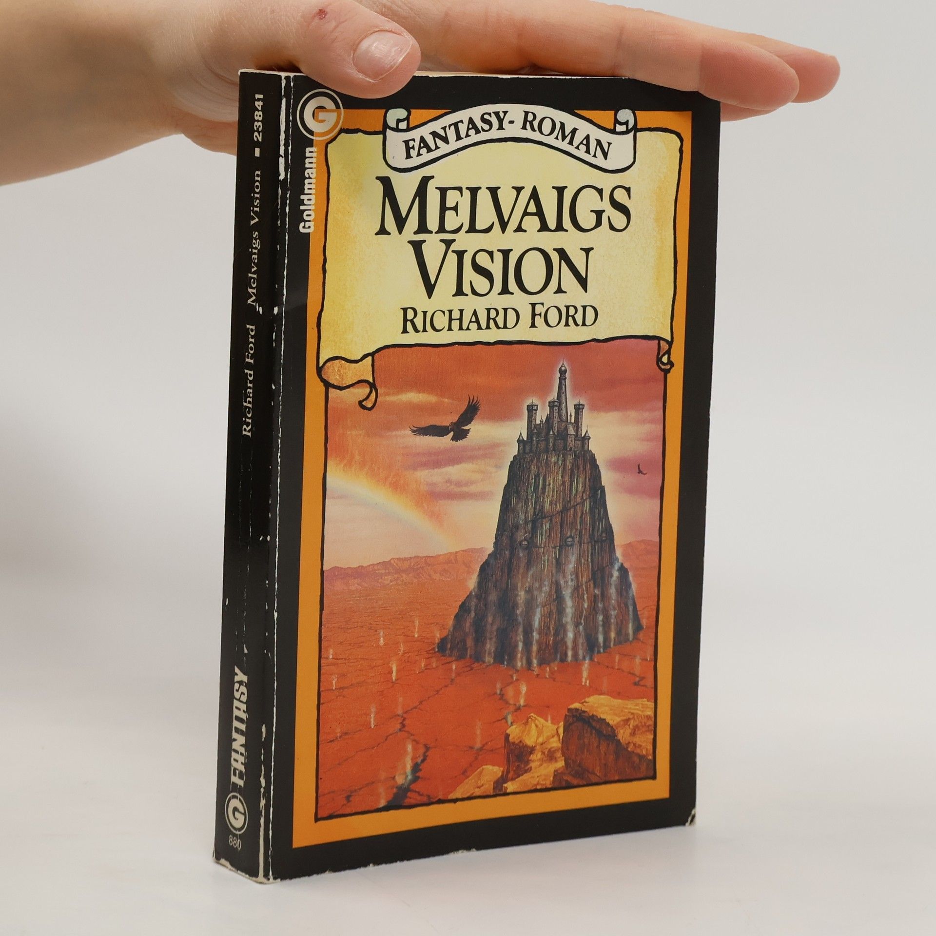 Rick Ford Melvaigs Vision