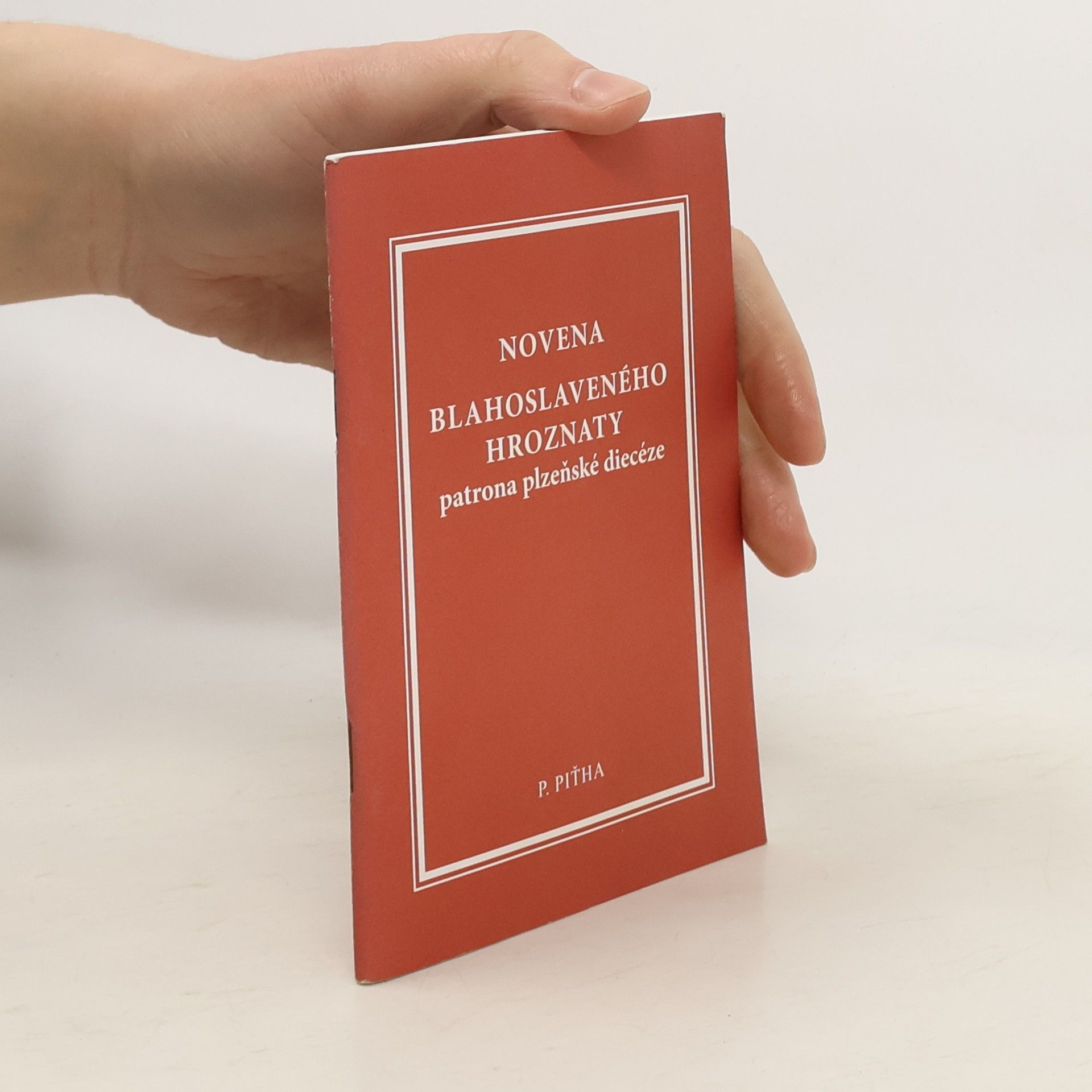 Petr Piťha Novena blahoslaveného Hroznaty, patrona plzeňské diecéze