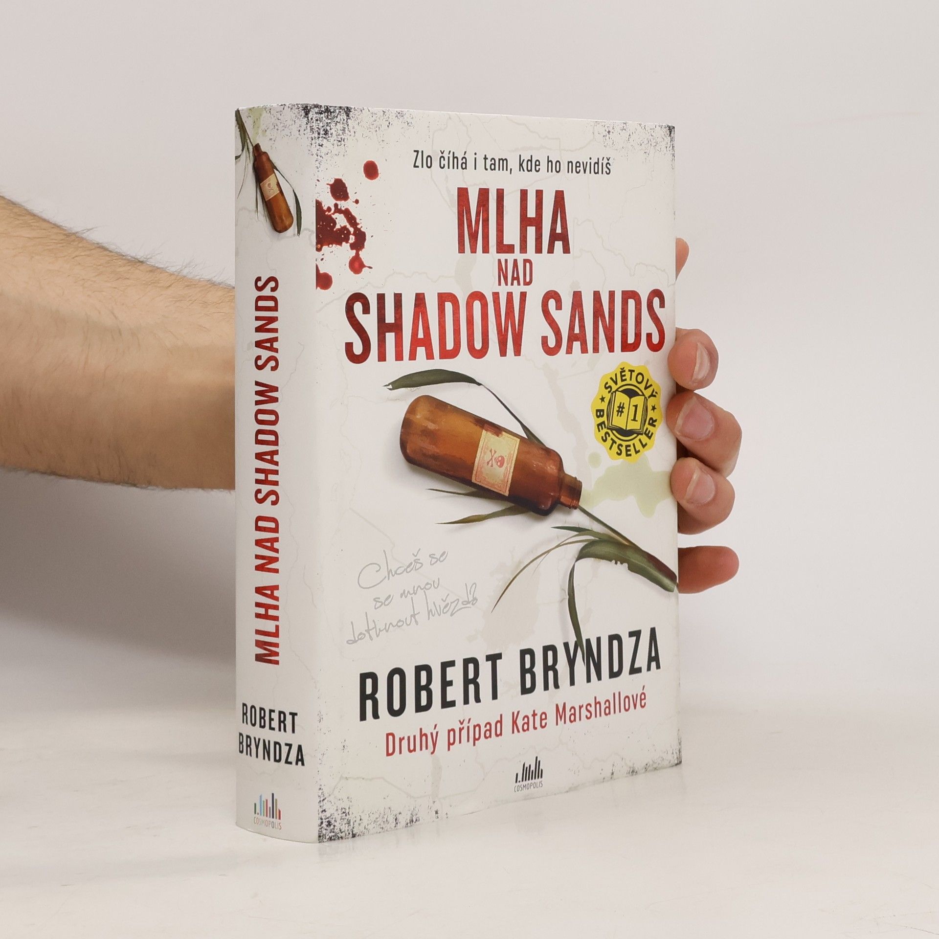 Robert Bryndza Mlha nad Shadow Sands