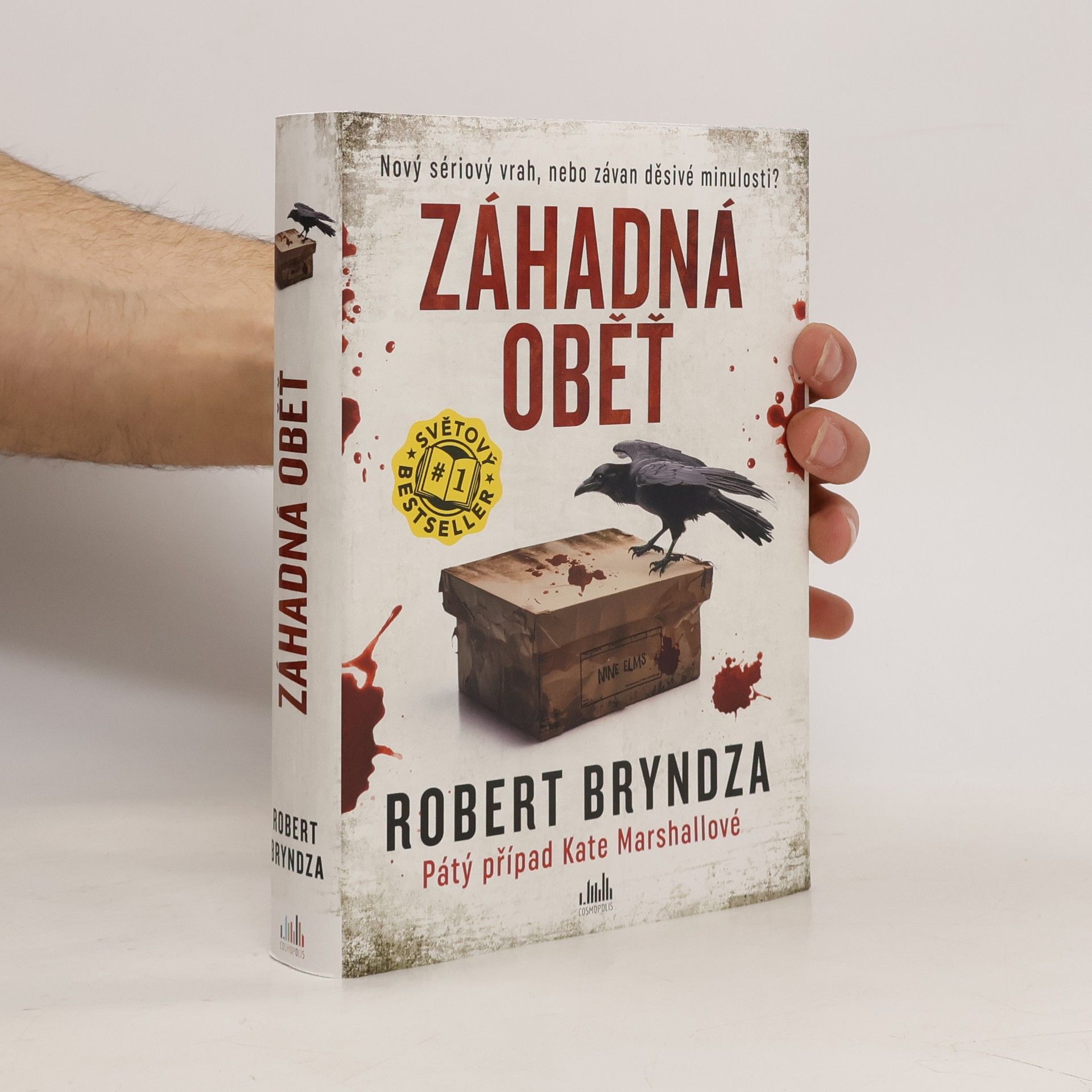 Robert Bryndza Záhadná oběť