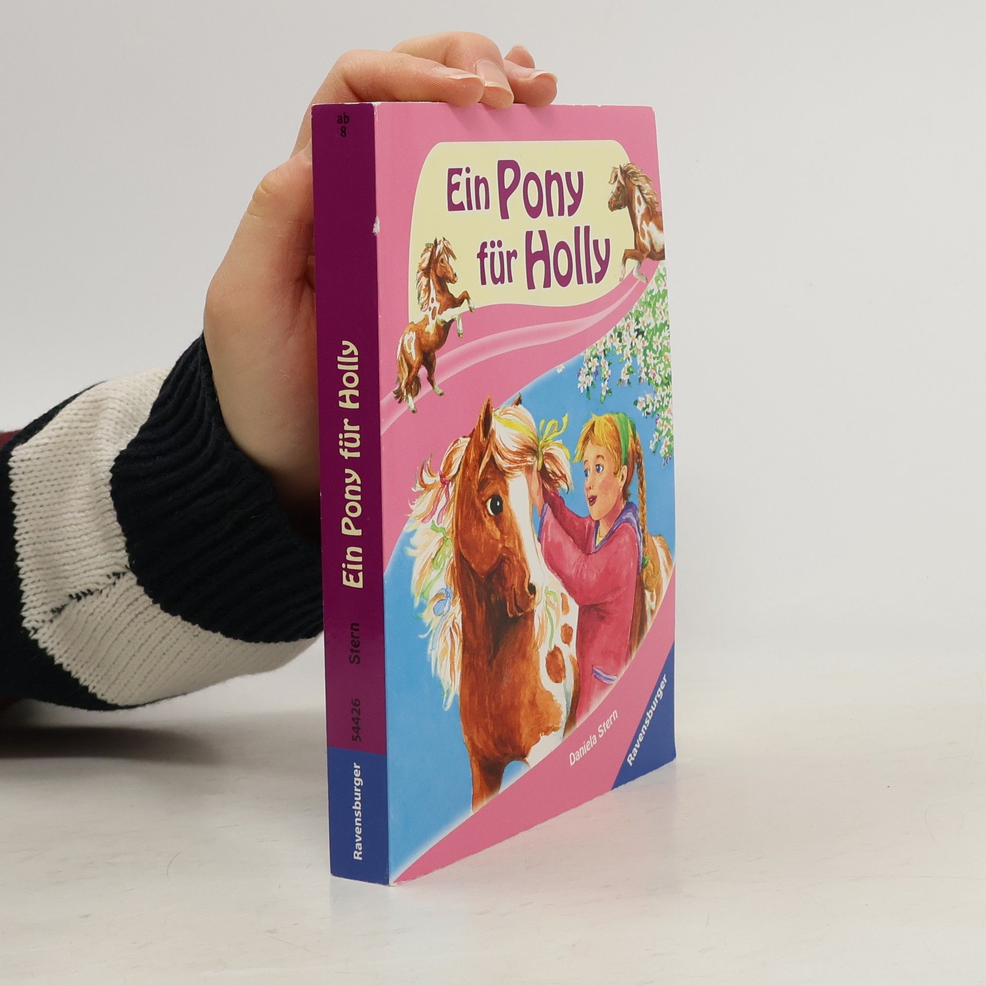 Daniela Stern Ravensburger Taschenbücher: Ein Pony für Holly
