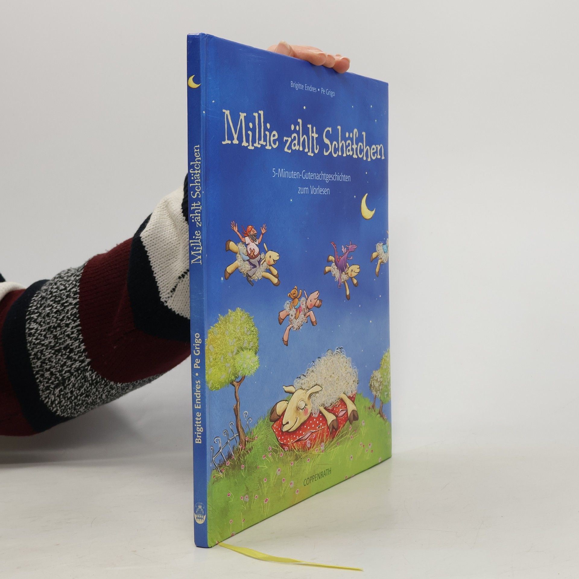 Brigitte Endres Millie zählt Schäfchen