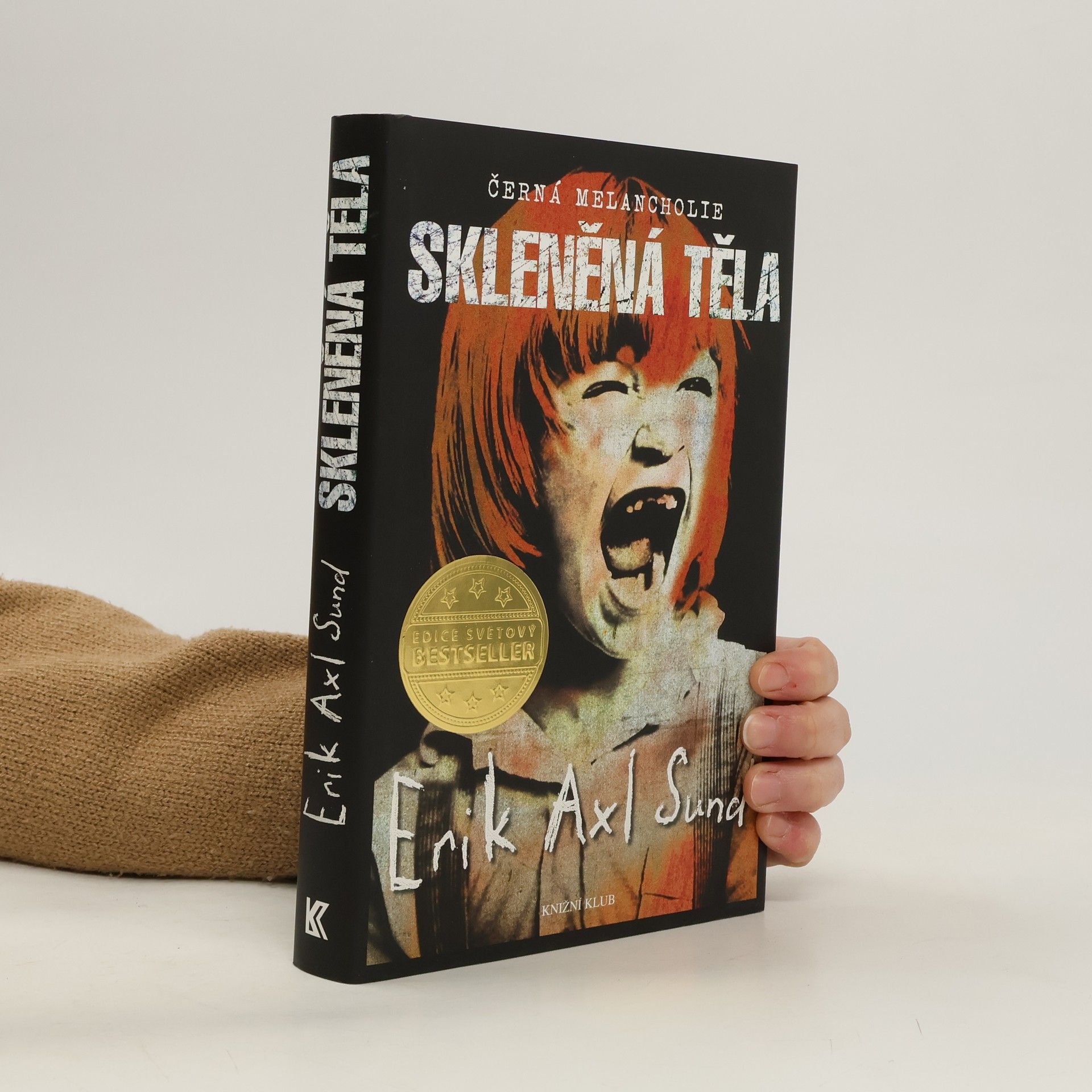 Erik Axl Sund Skleněná těla. Černá melancholie