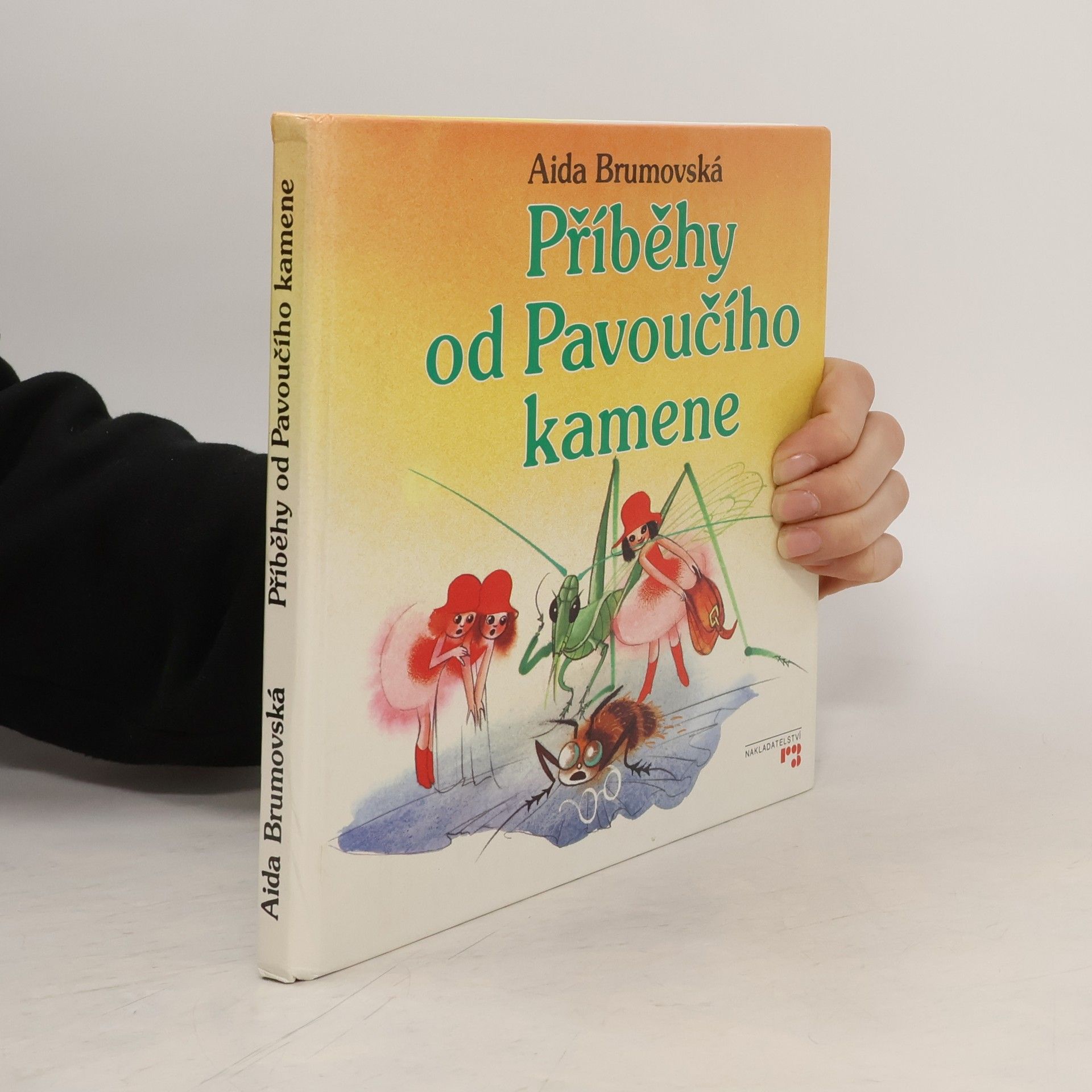 Aida Brumovská Příběhy od Pavoučího kamene