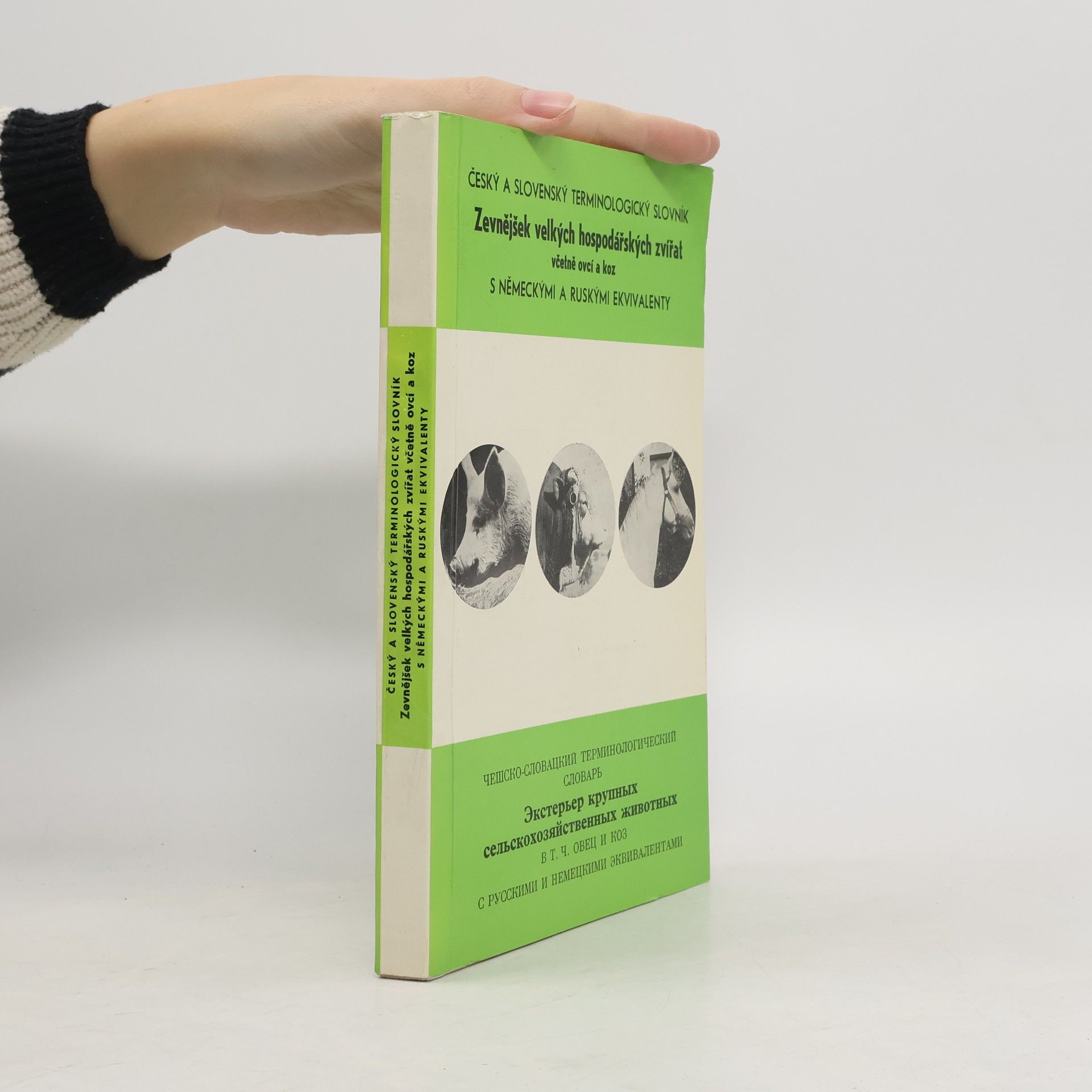 Kolektív autorov Český a slovenský terminologický slovník