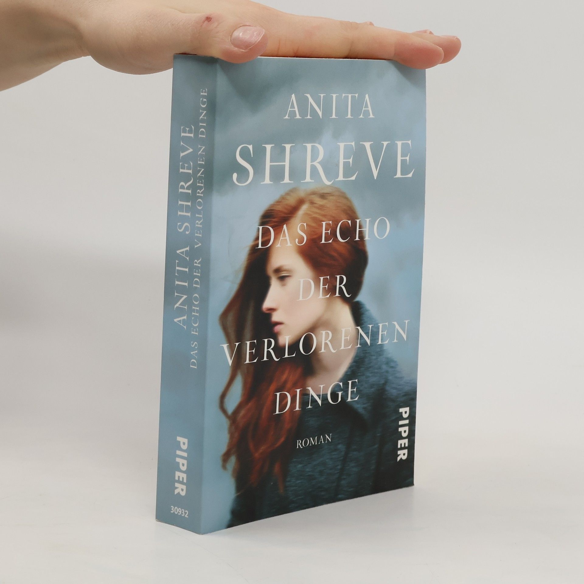 Anita Shreve Das Echo der verlorenen Dinge