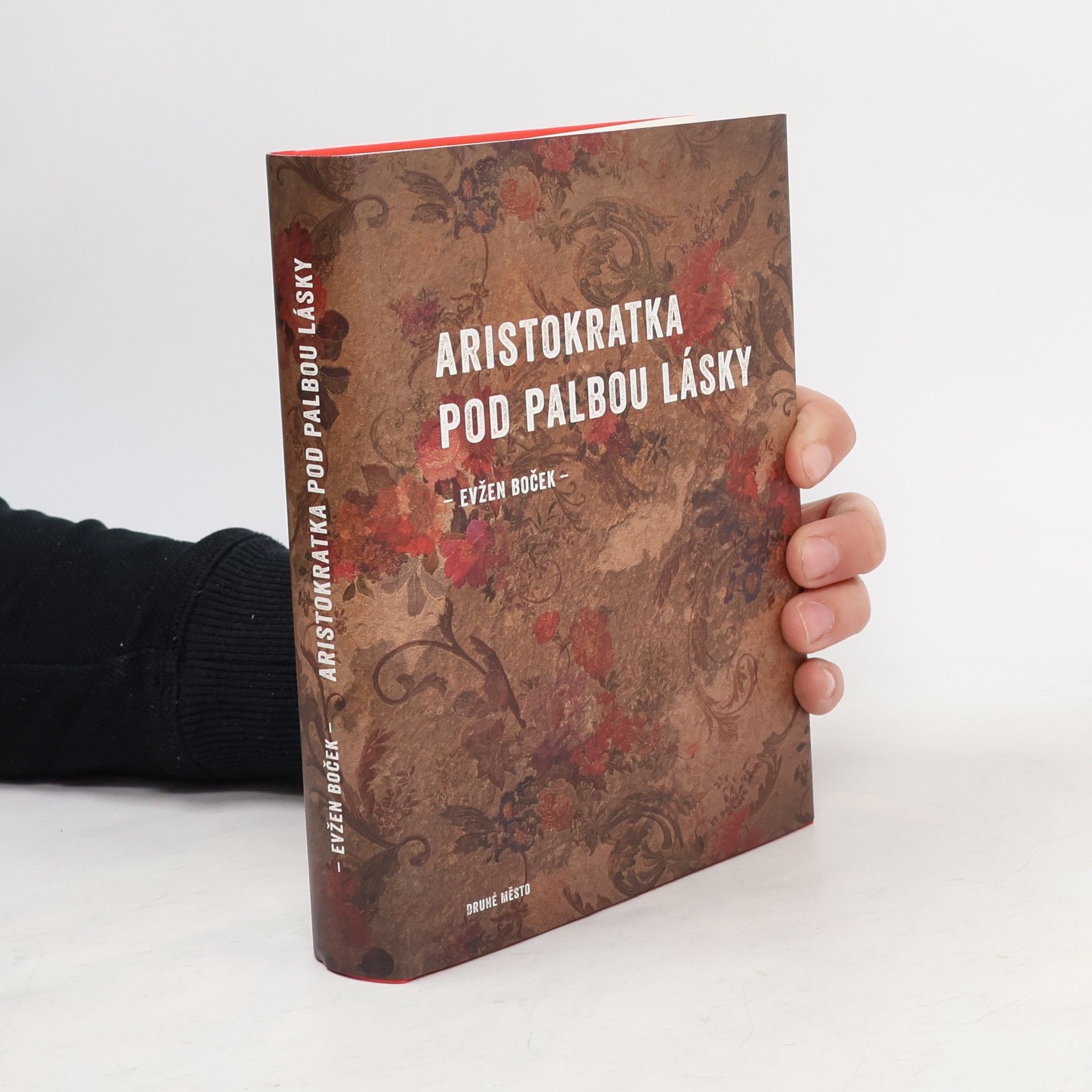 Aristokratka pod palbou lásky