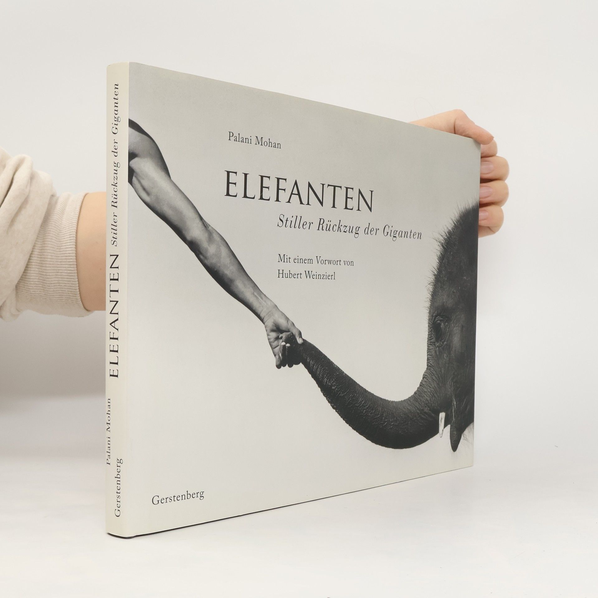 Palani Mohan Elefanten