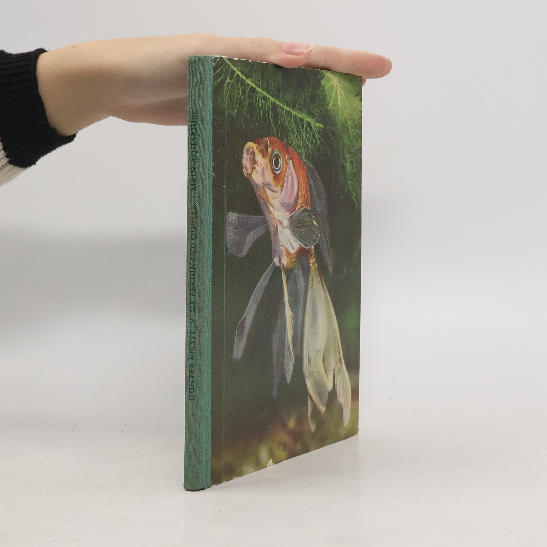 Günter Kirstein Mein Aquarium