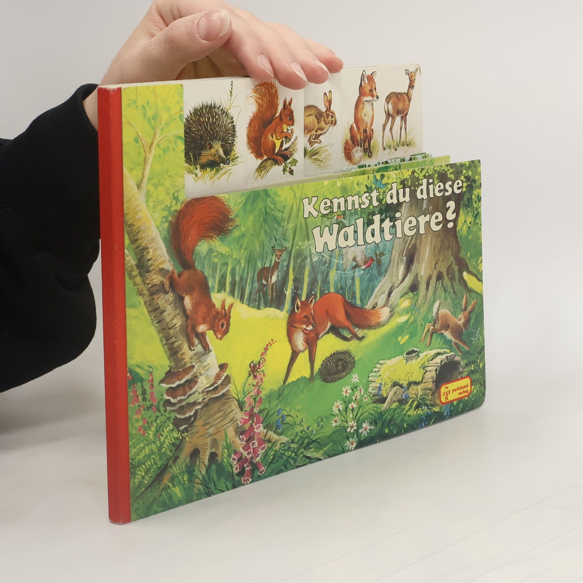 Kennst du diese Waldtiere?