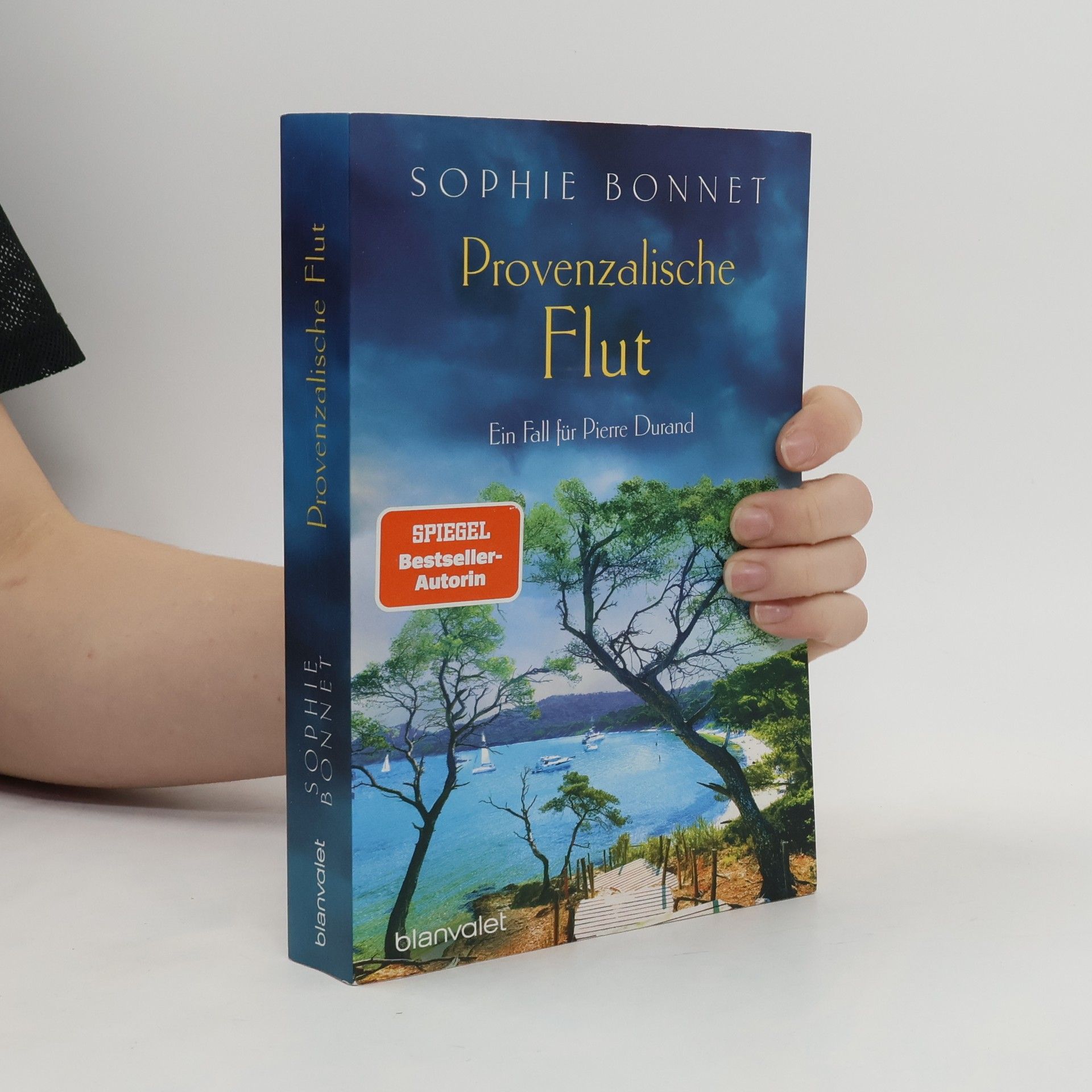 Sophie Bonnet Provenzalische Flut