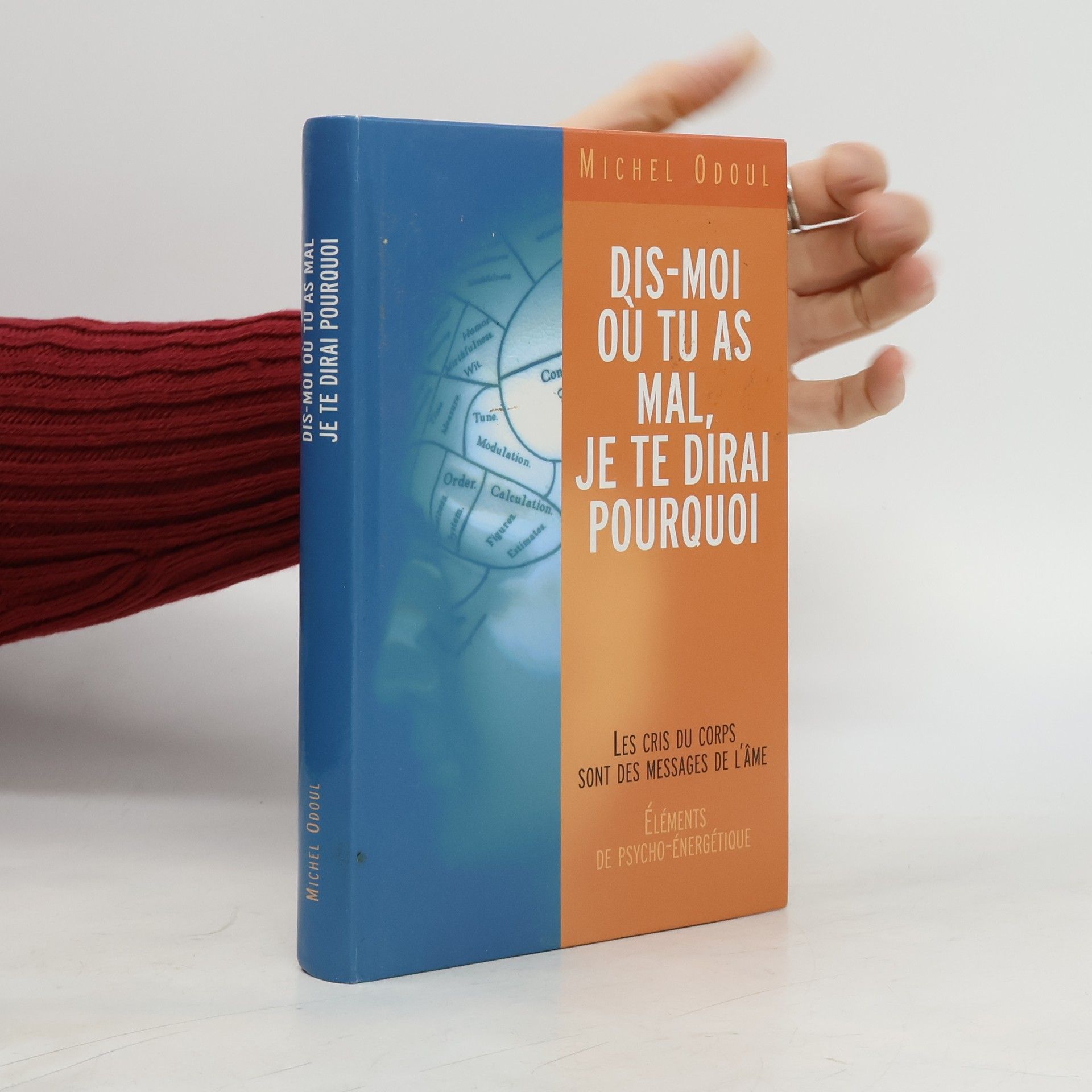 Michel Odoul Dis-moi où tu as mal, je te dirai pourquoi