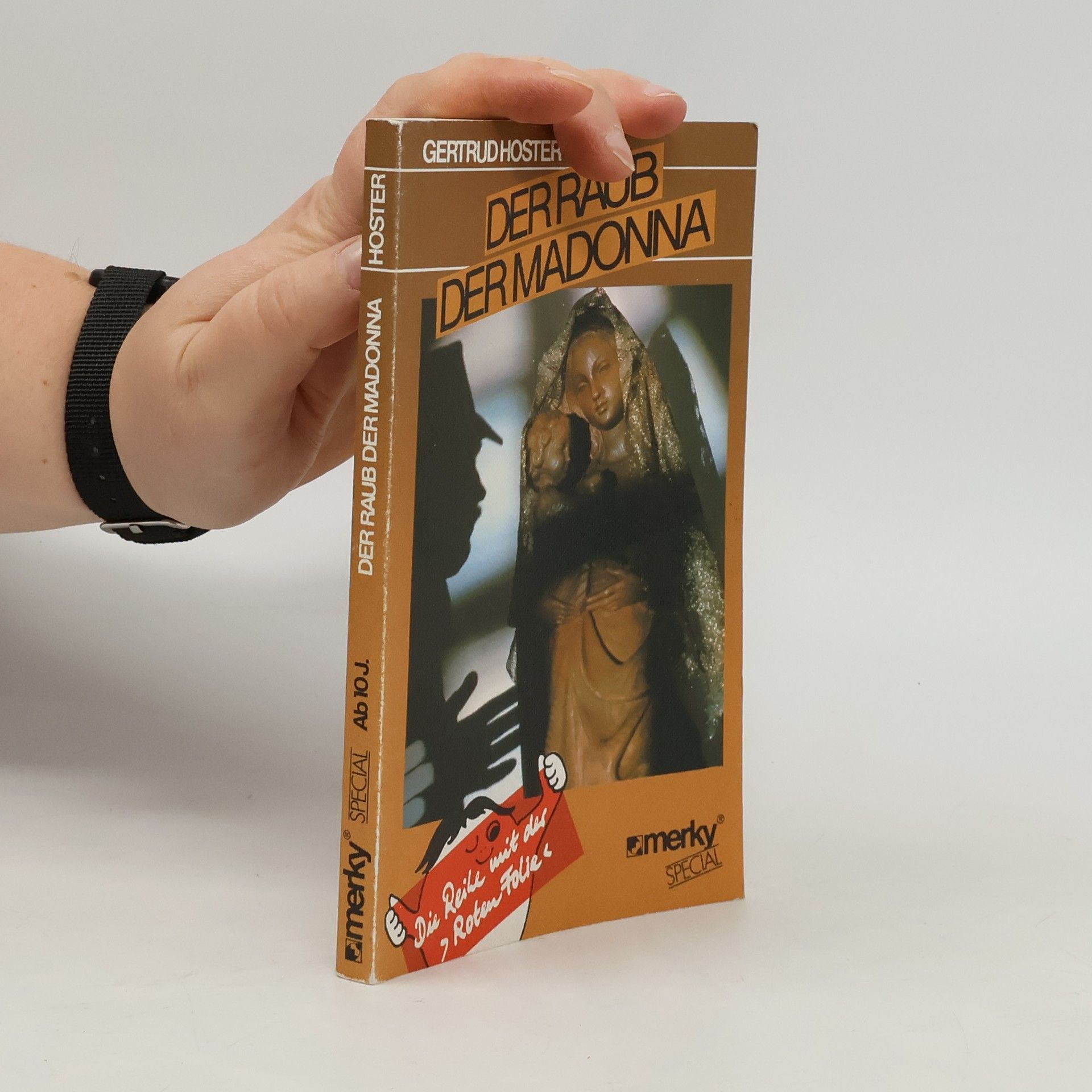 Gertrud Hoster Der Raub der Madonna