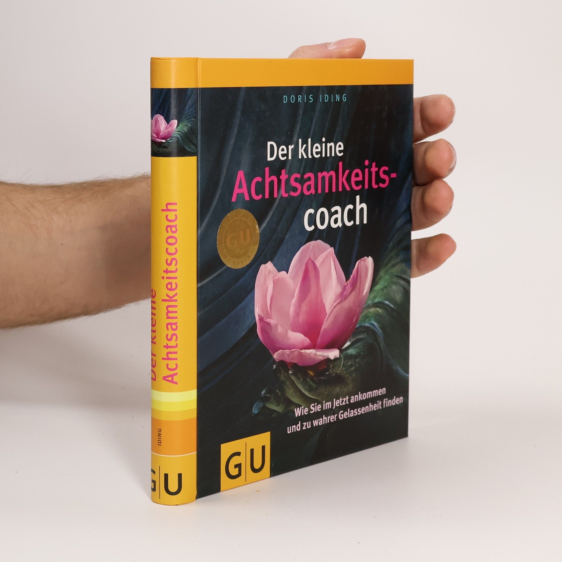 Doris Iding Der kleine Achtsamkeitscoach